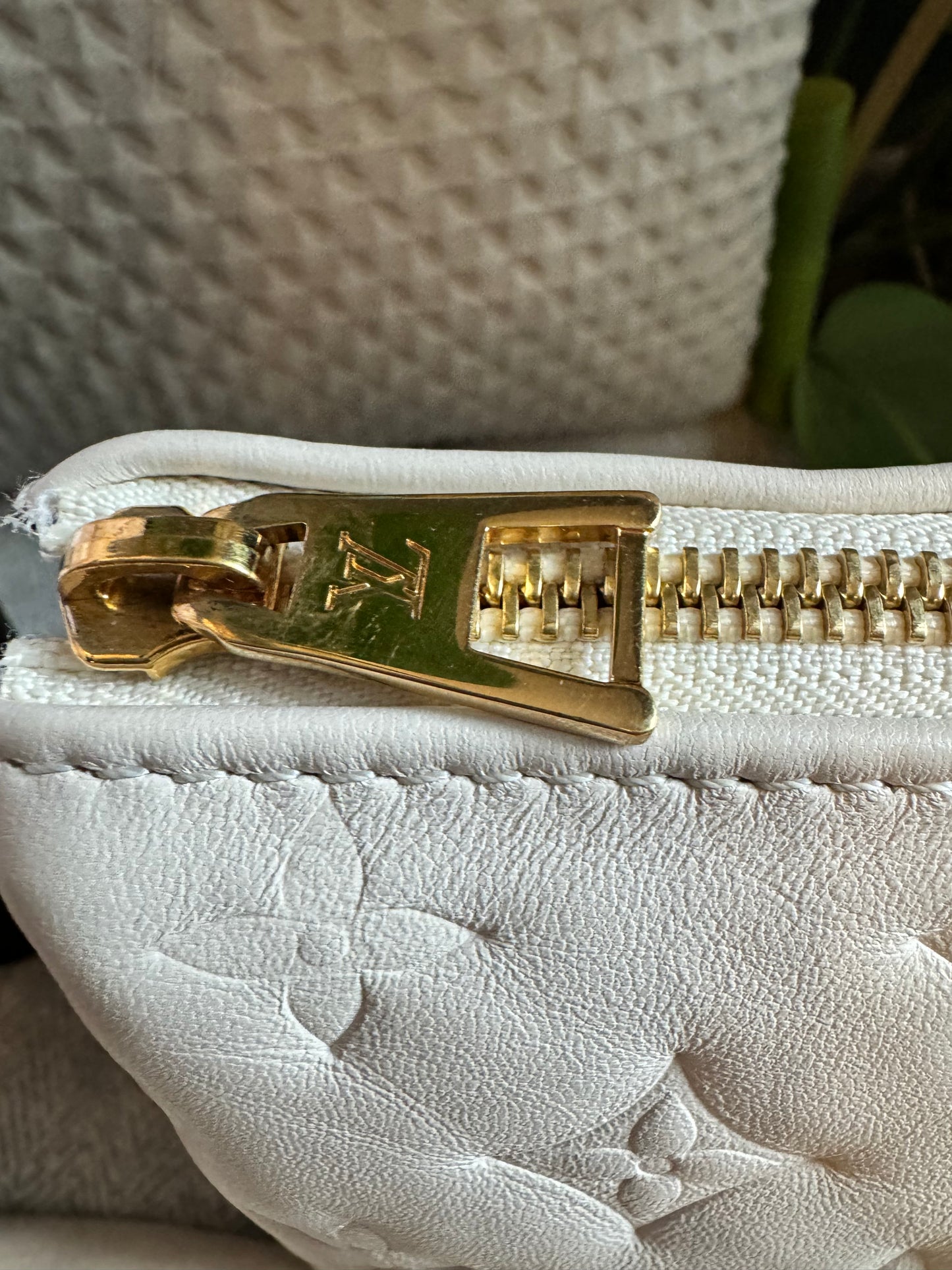 Louis Vuitton Coussin PM
