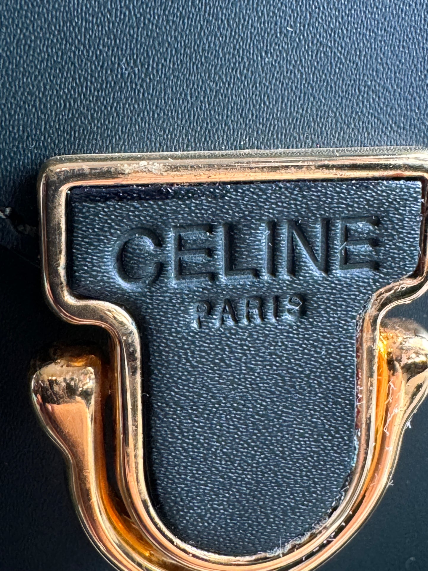 Celine Vintage Camera Bag in Amazone
