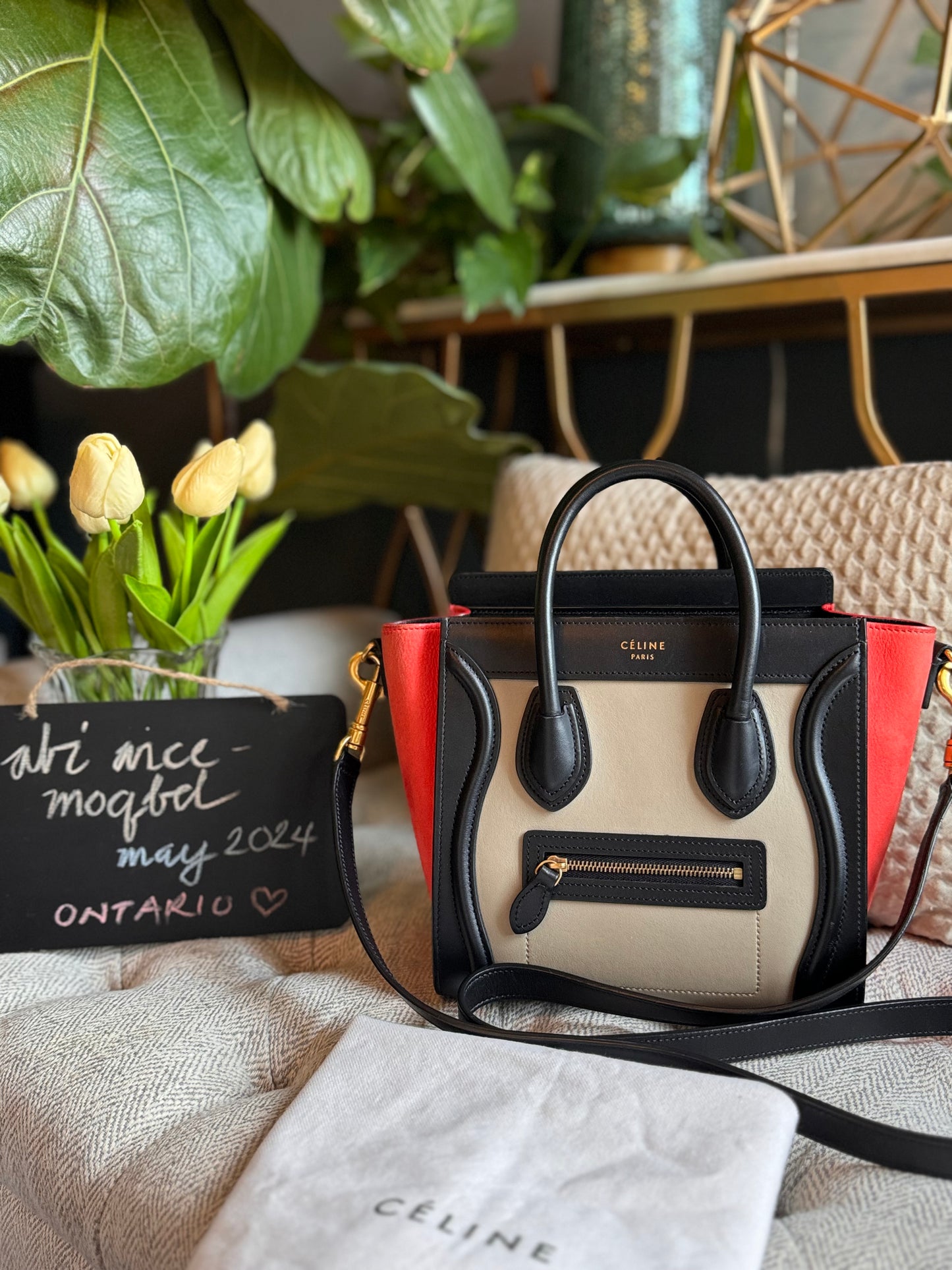 Celine Nano Luggage in TriColour