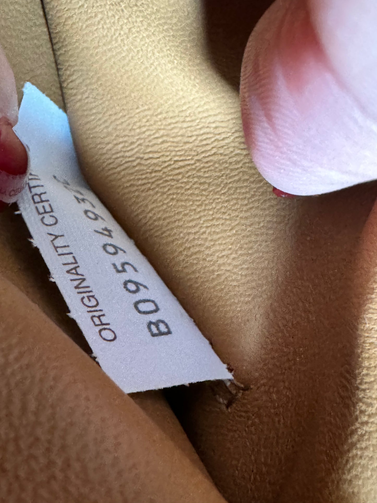 Bottega Veneta Padded Cassette