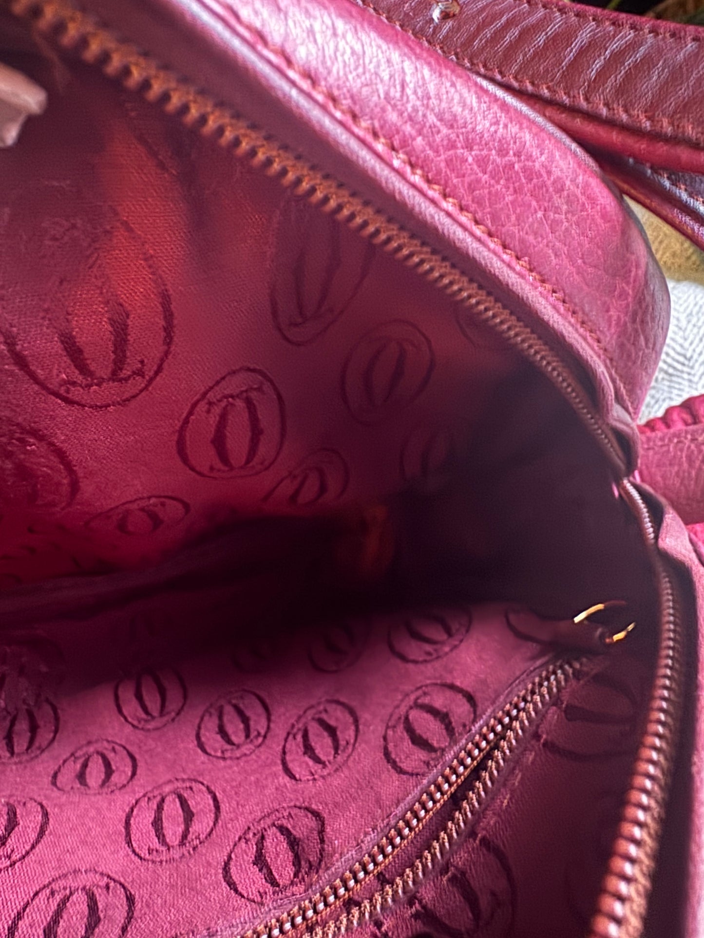 Cartier Vintage Camera Bag