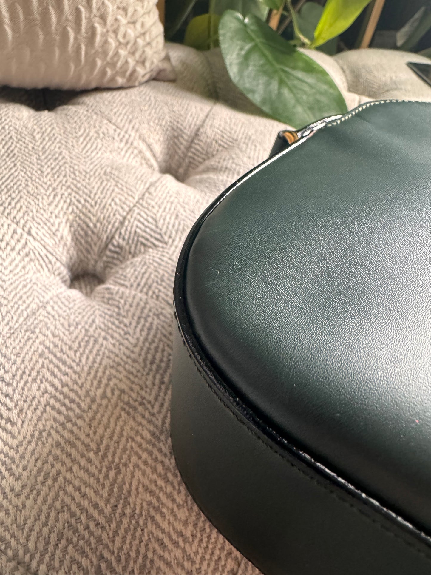 Celine Vintage Camera Bag in Amazone