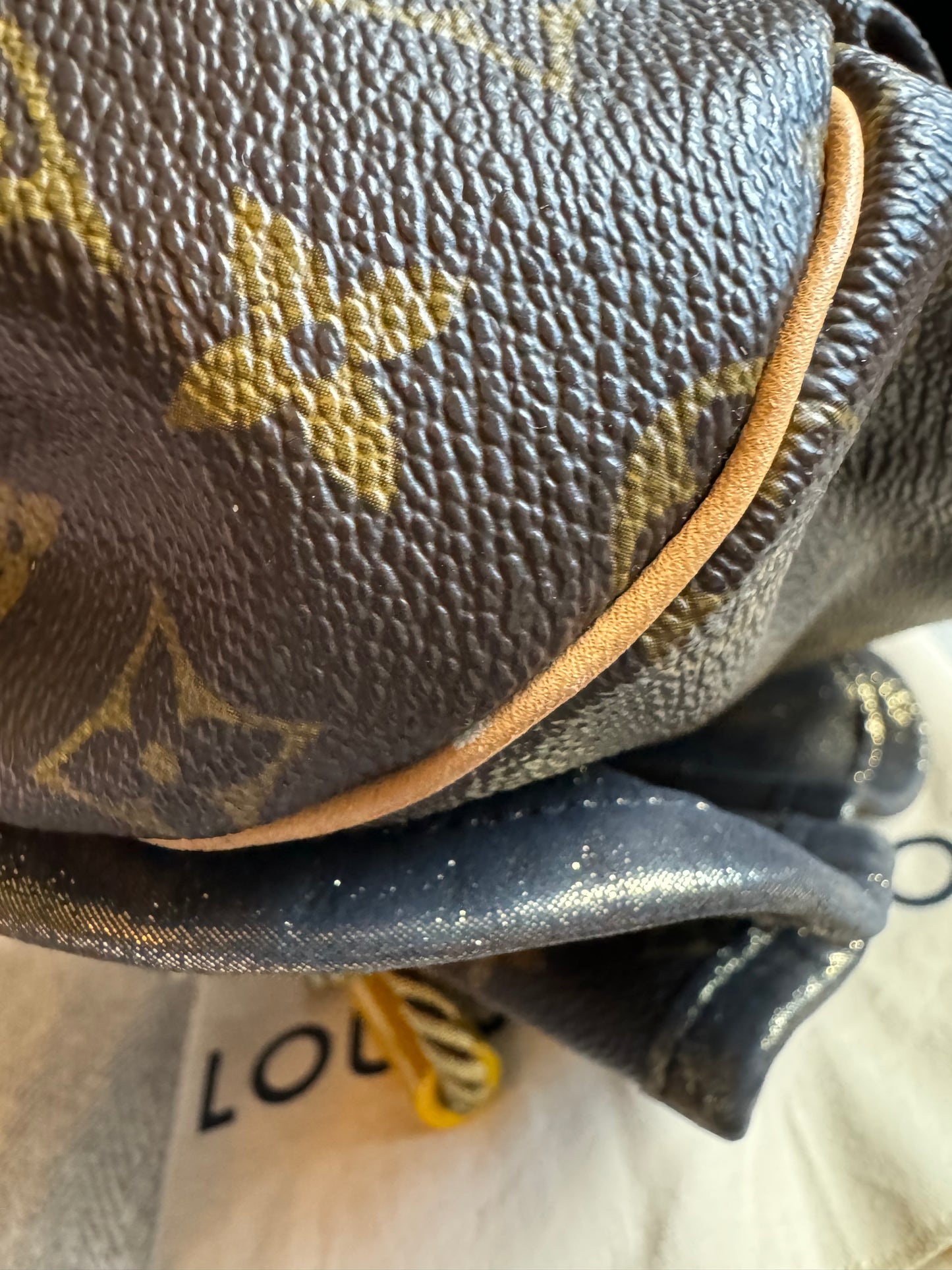 Louis Vuitton Limited Ed Kalahari PM