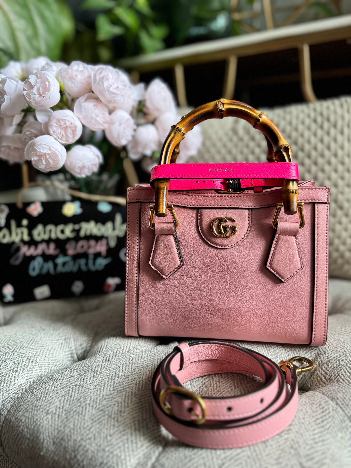 Gucci Mini Diana