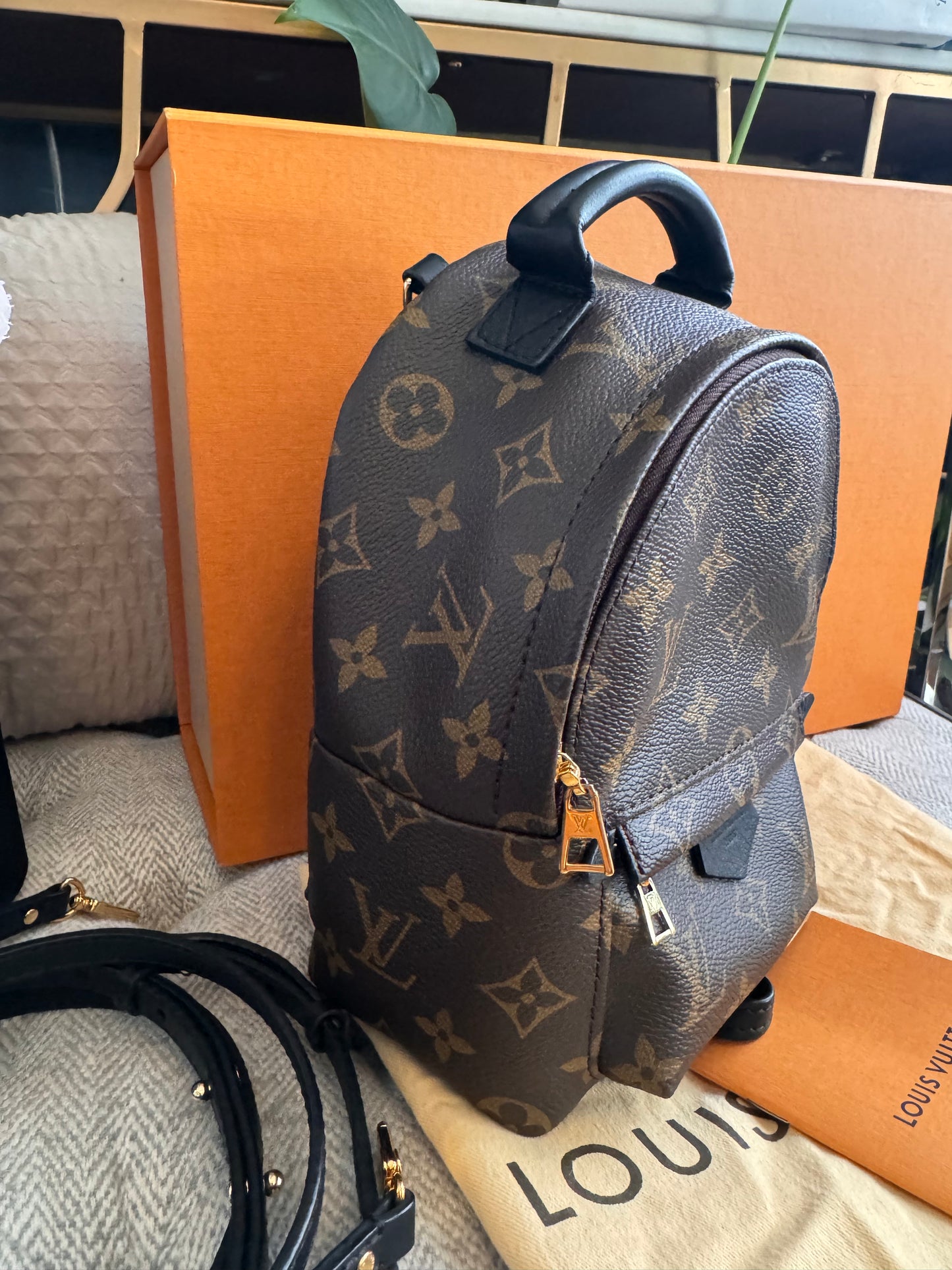 Louis Vuitton Palm Springs Mini