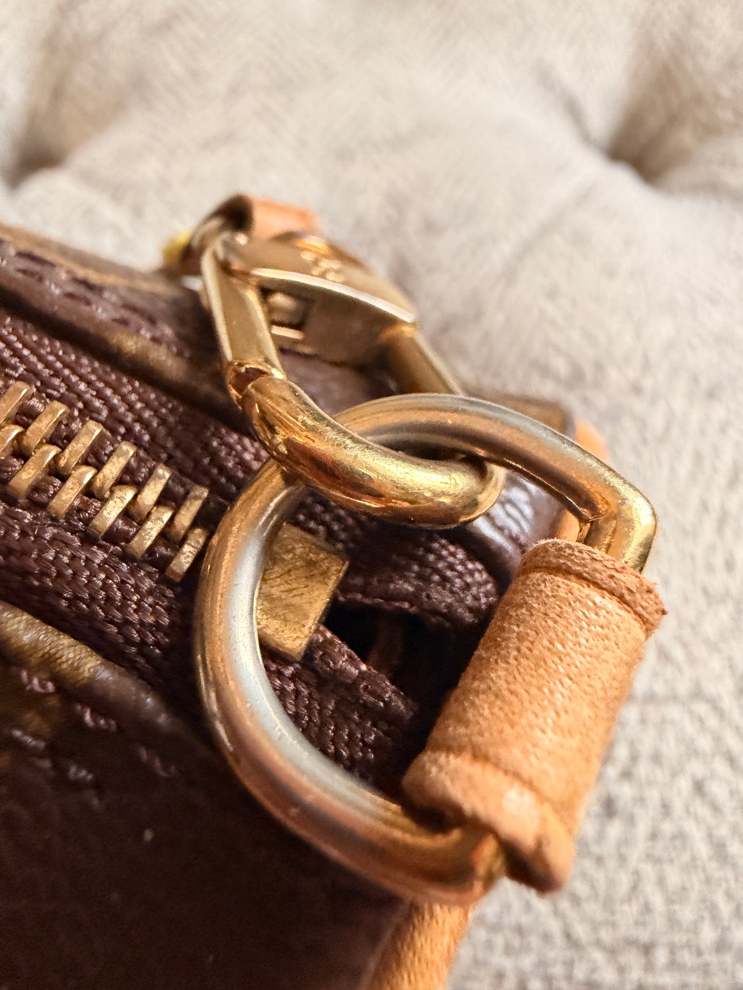 Louis Vuitton MINi Papillon