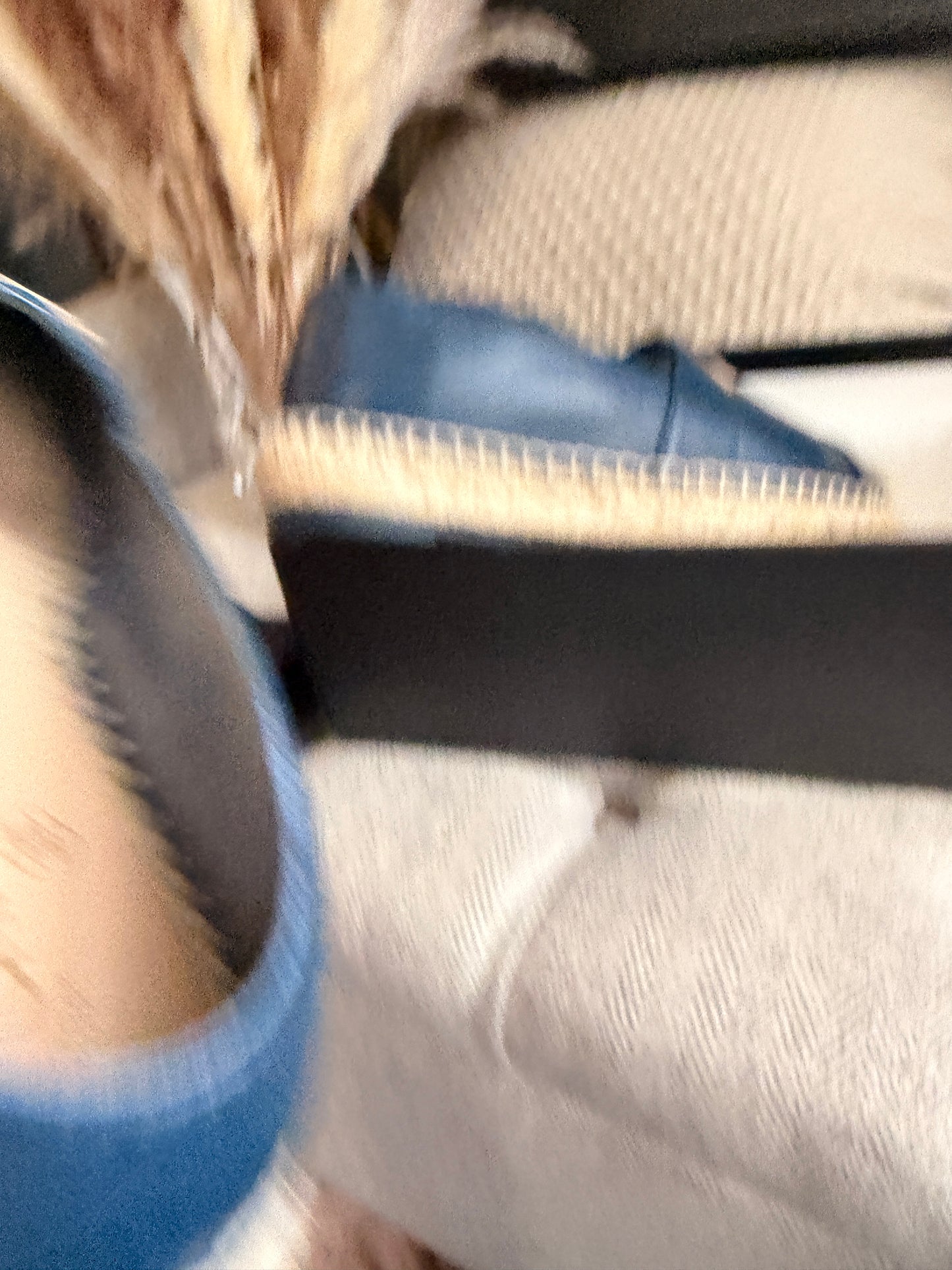 BNIB Chanel Espadrilles