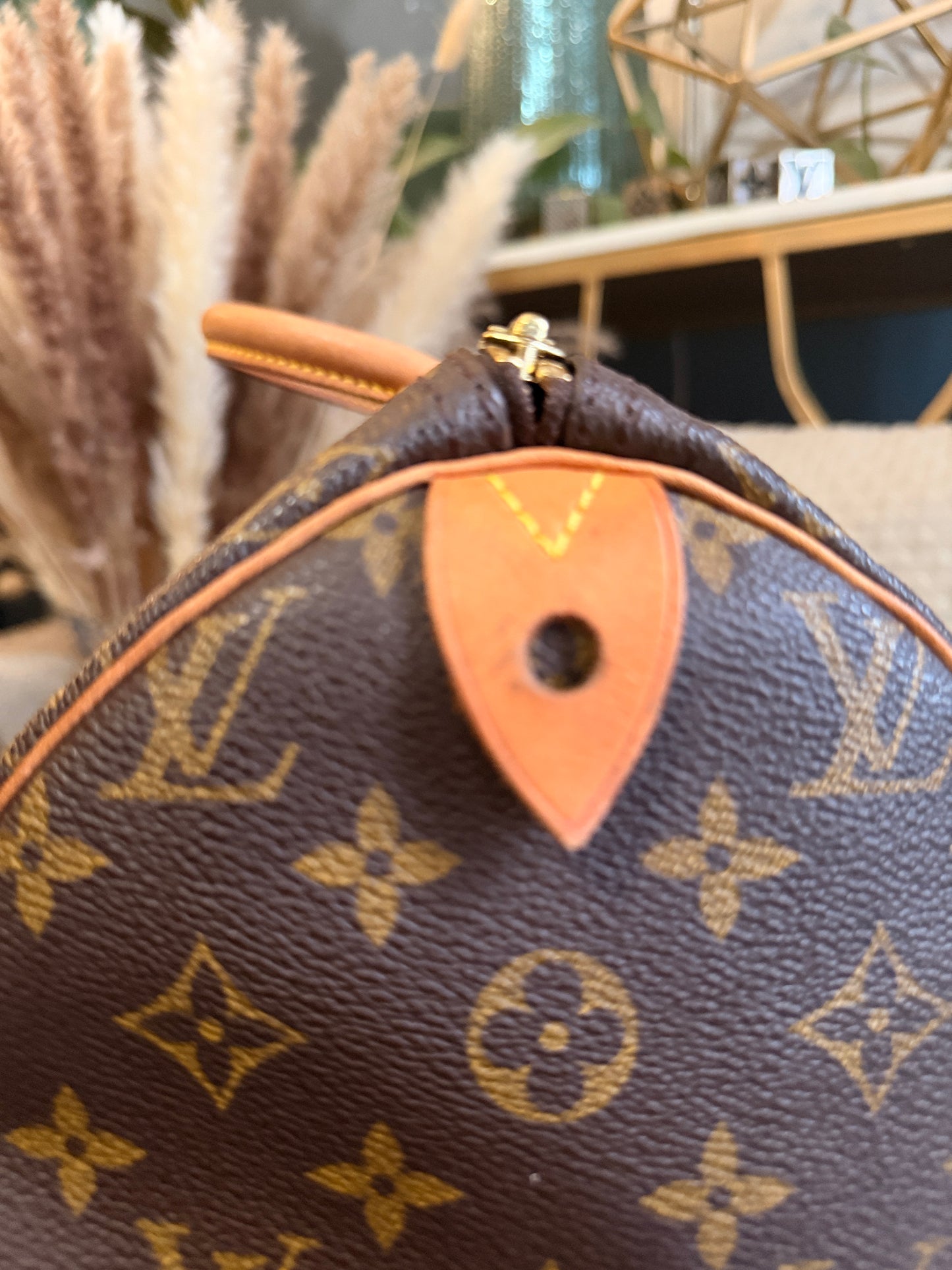 Louis Vuitton Speedy 40 in Monogram