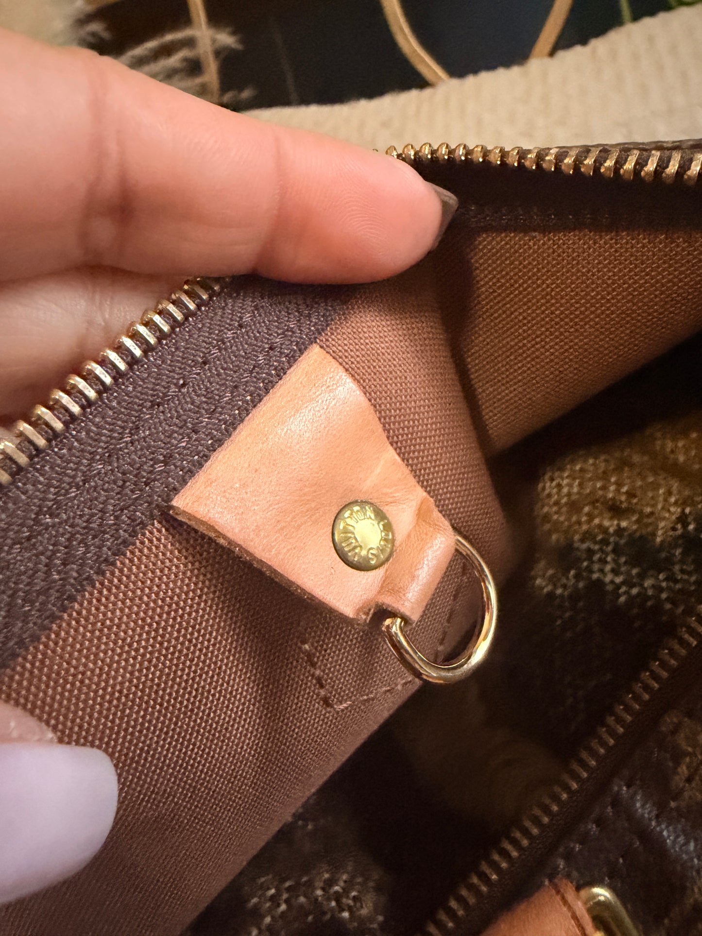 Louis Vuitton Speedy 40 in Monogram