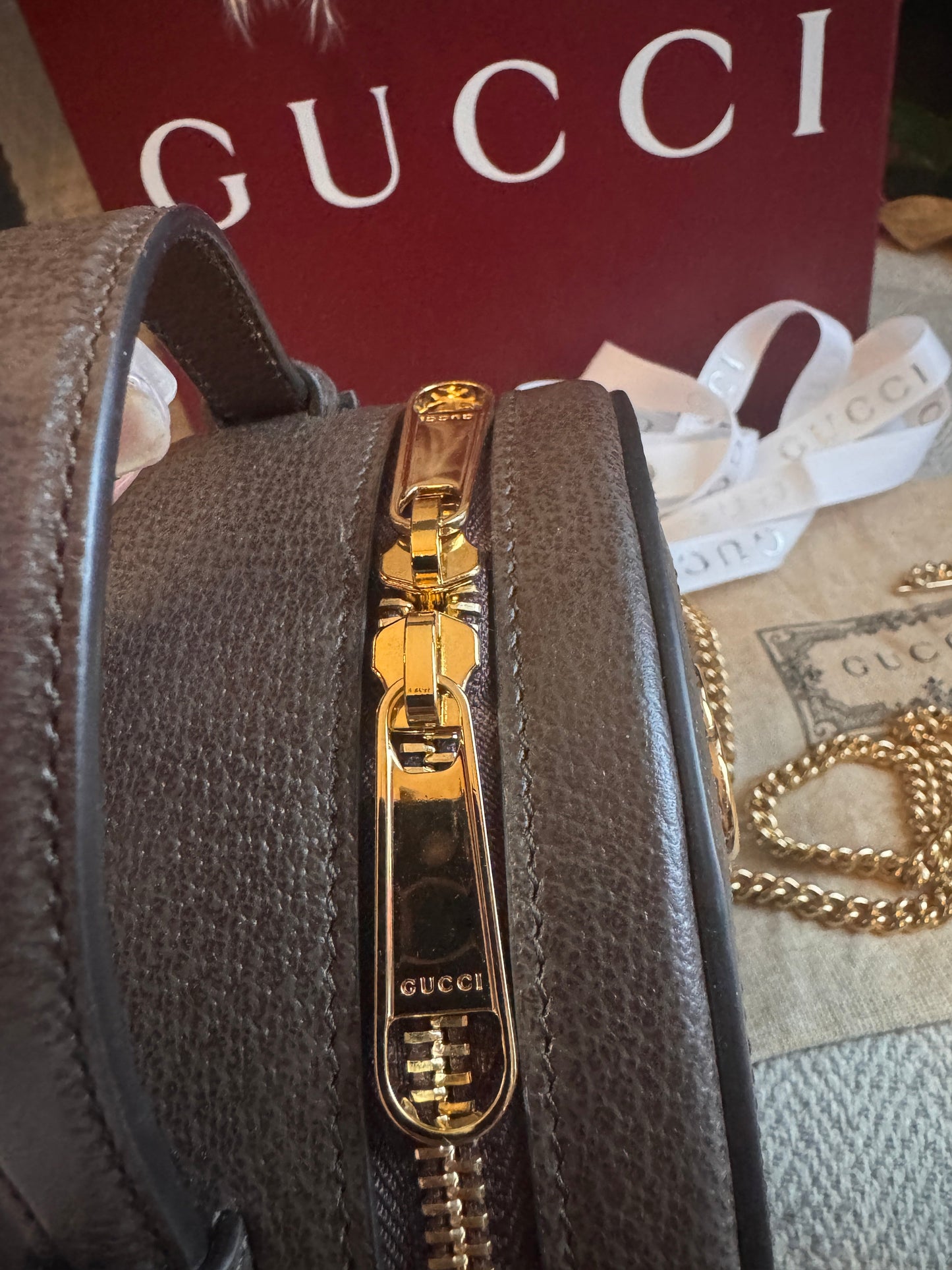 Gucci Ophidia Mini Chain bag