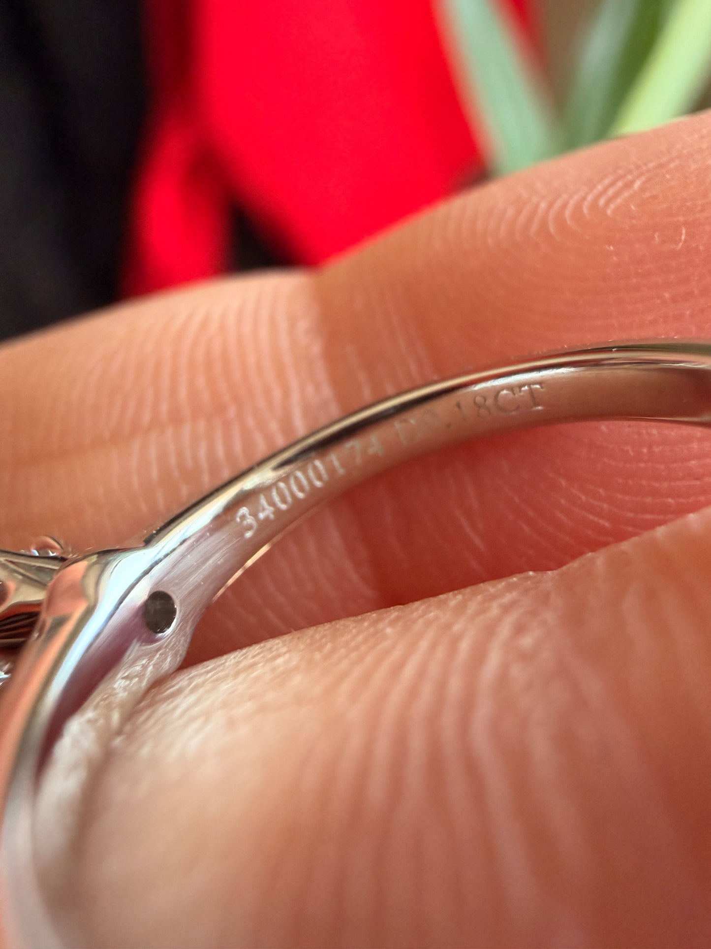 Tiffany & Co Setting Ring in Platinum