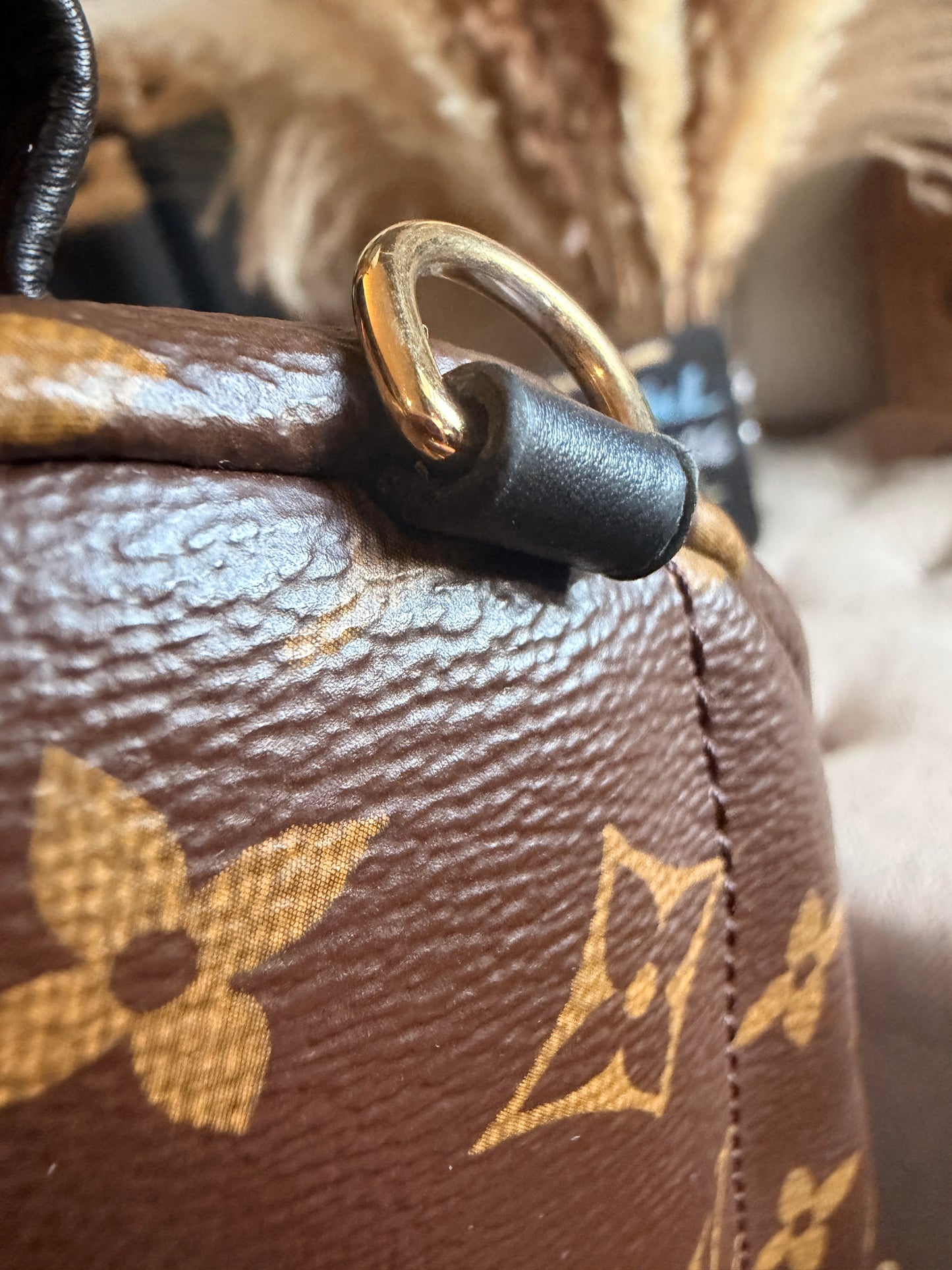 Louis Vuitton Palm Springs Mini-New Version