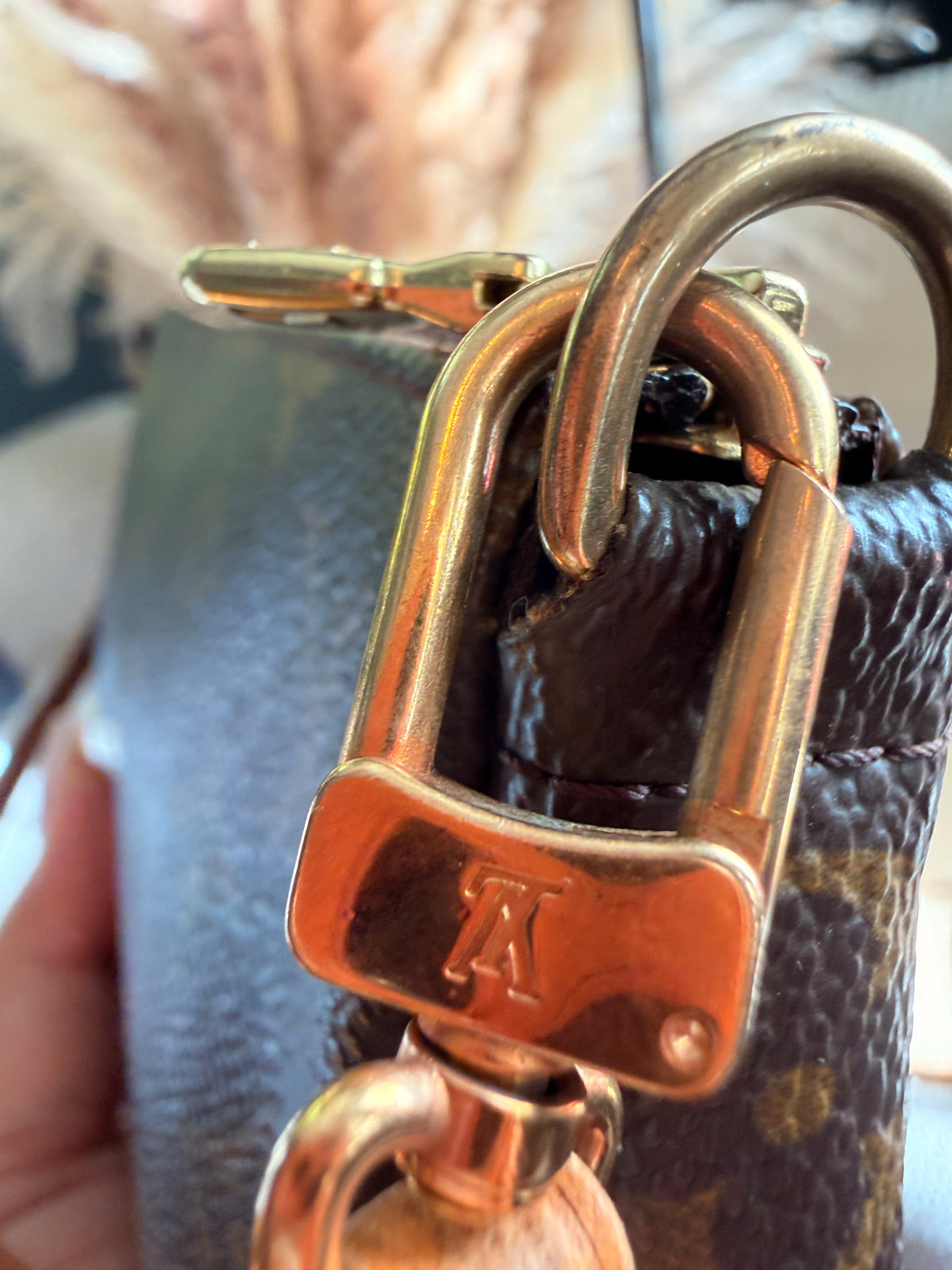 LOUIS VUITTON Pochette Accessoires