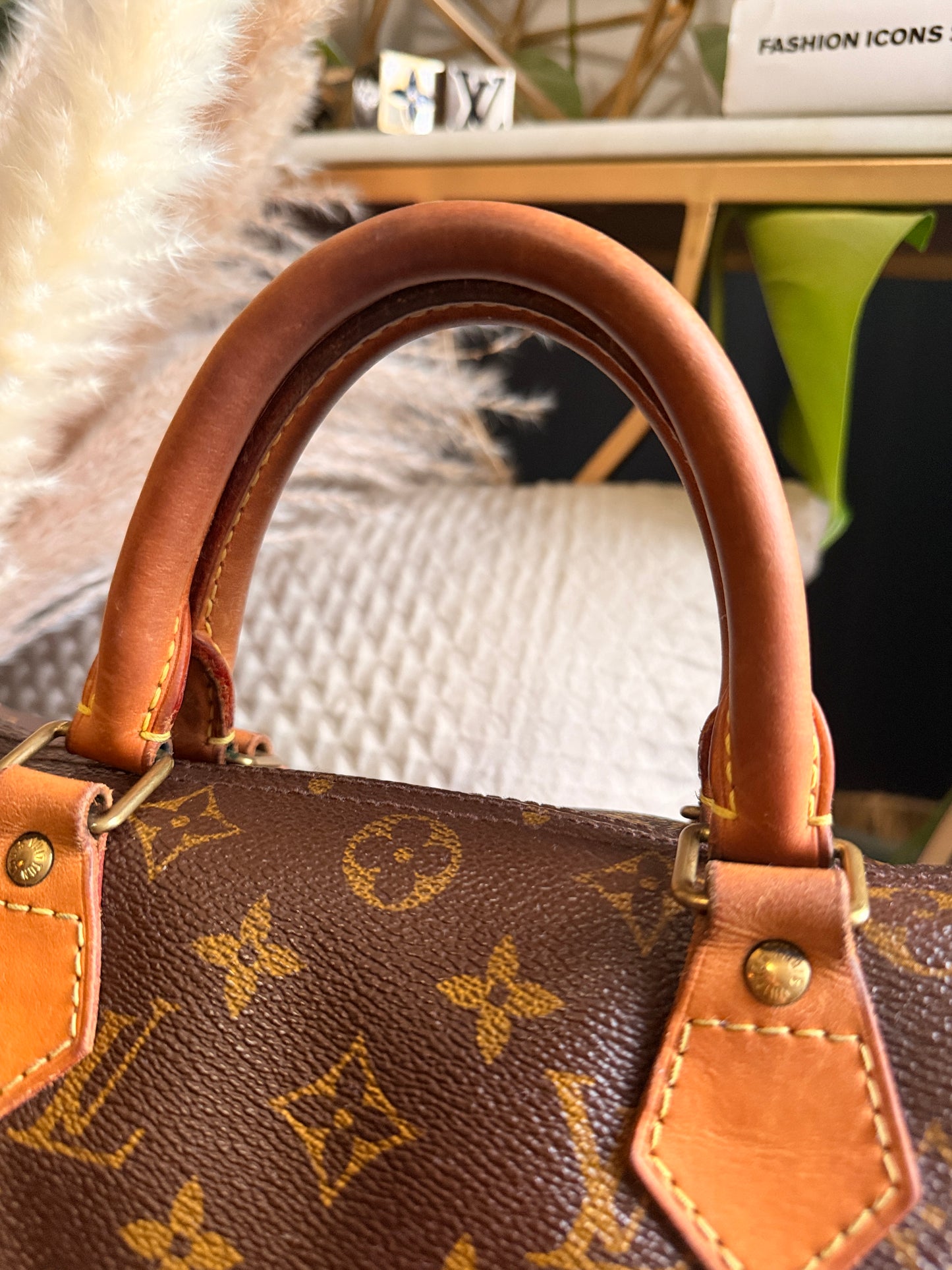 Louis Vuitton Speedy B30 in Monogram