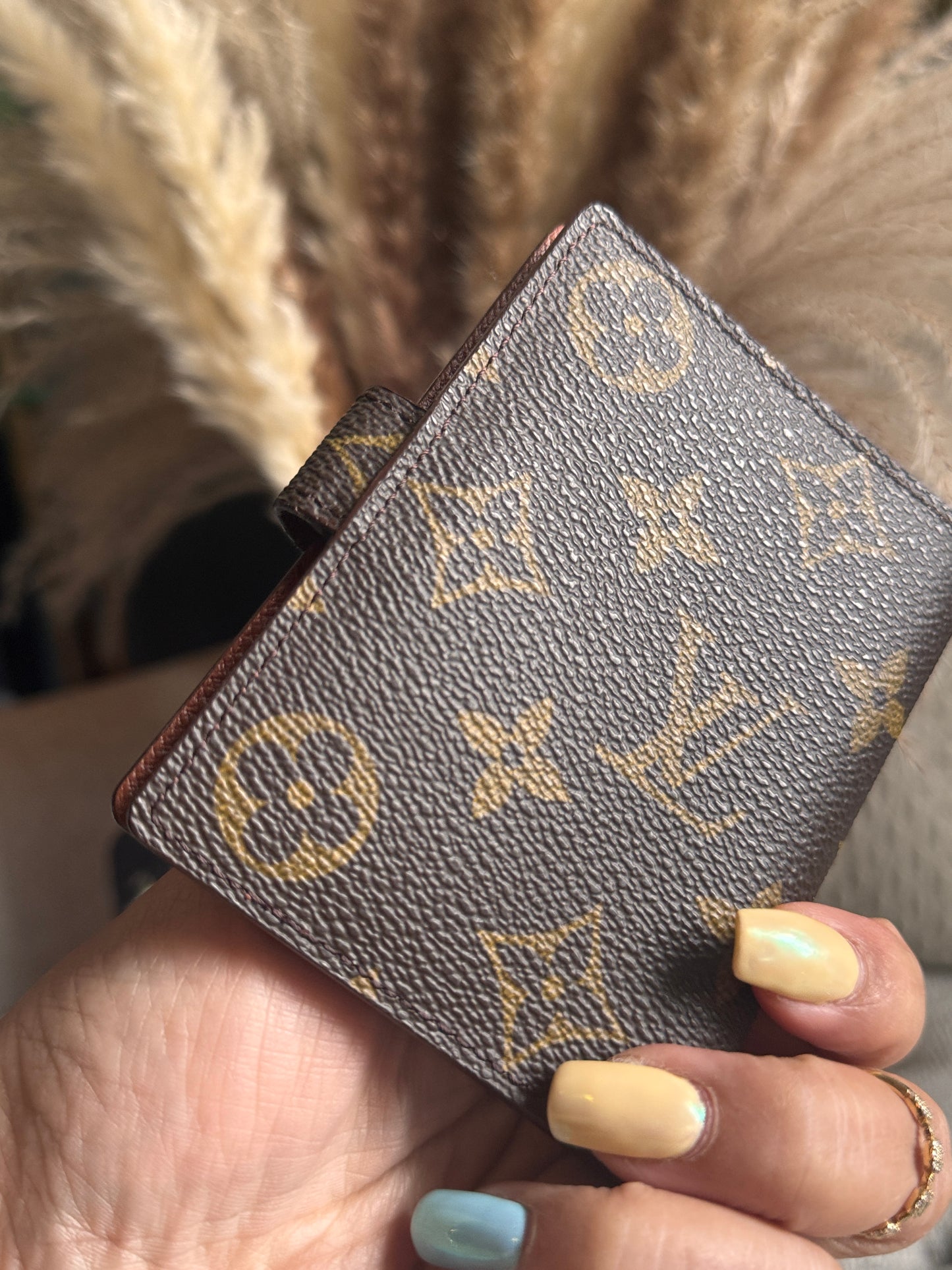 Louis Vuitton Cardholder in Monogram
