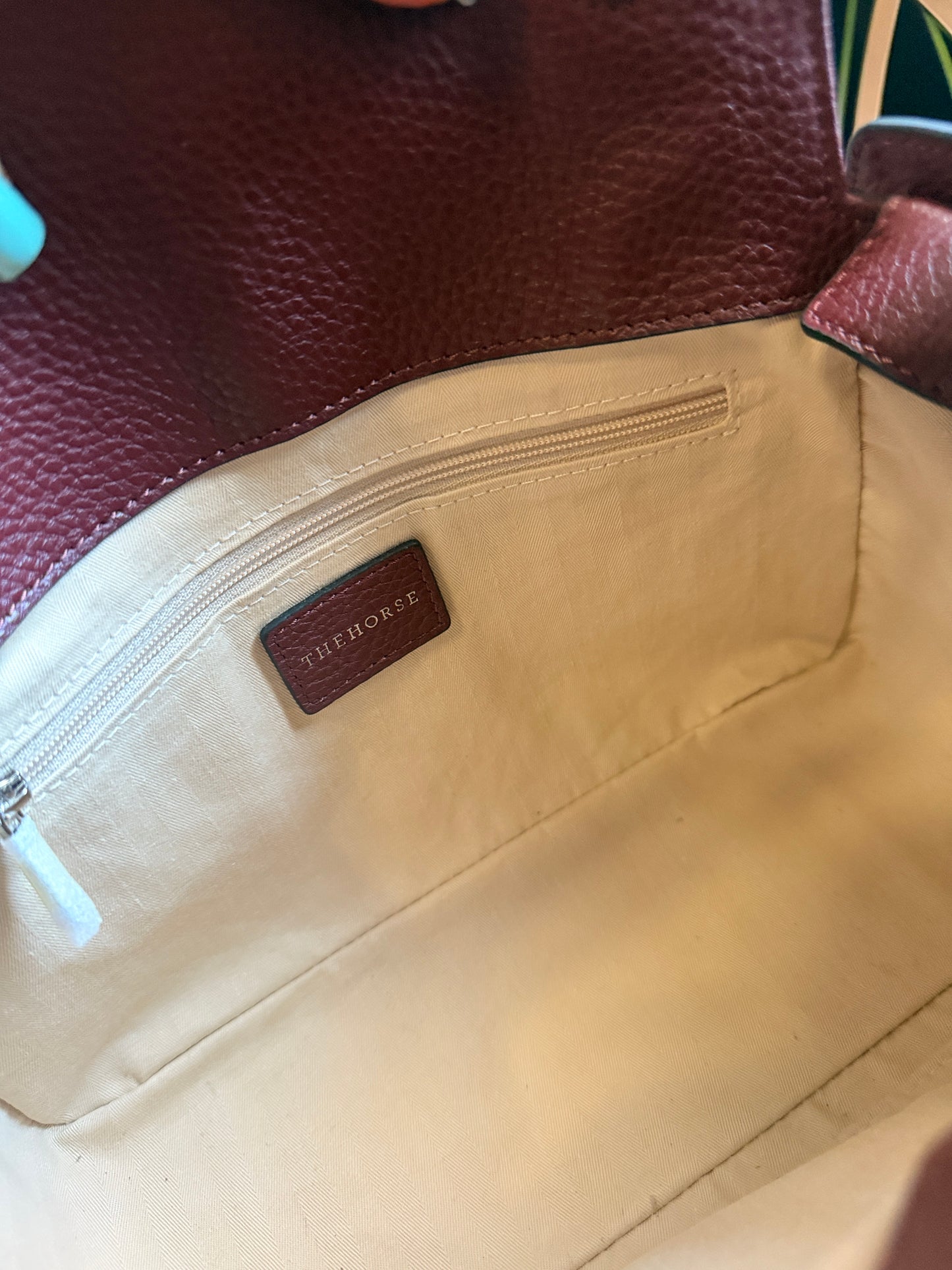 The Horse Clementine in Burgundy