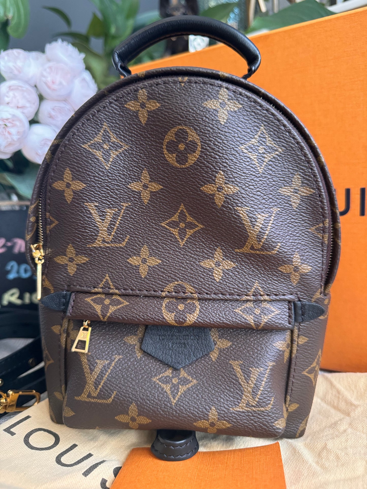 Louis Vuitton Palm Springs Mini