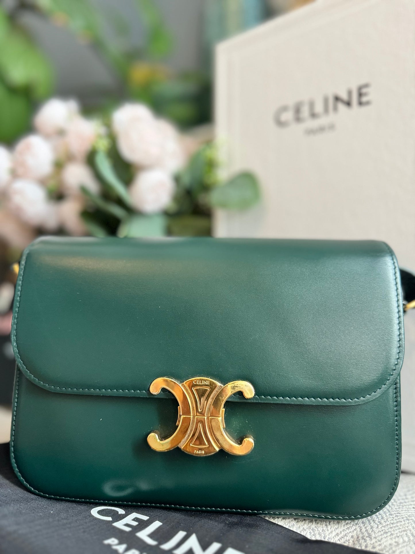 Celine Classique Triomphe in Amazone