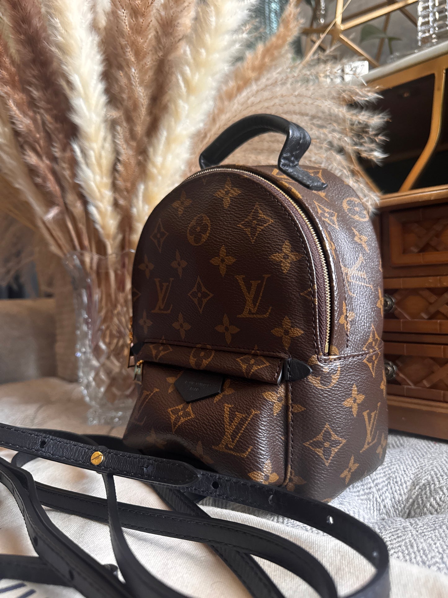 Louis Vuitton Palm Springs Mini-New Version