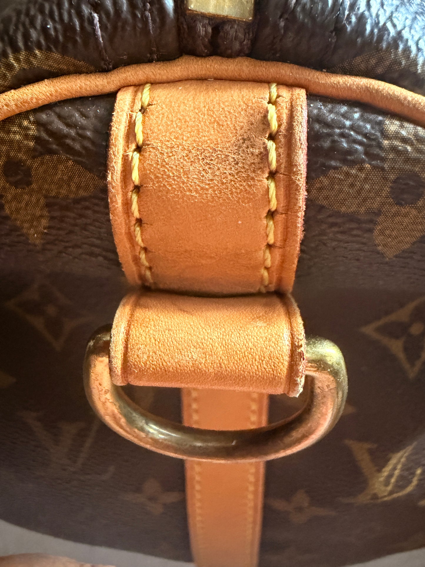 Louis Vuitton Speedy 30 Bandouliere in Monogram