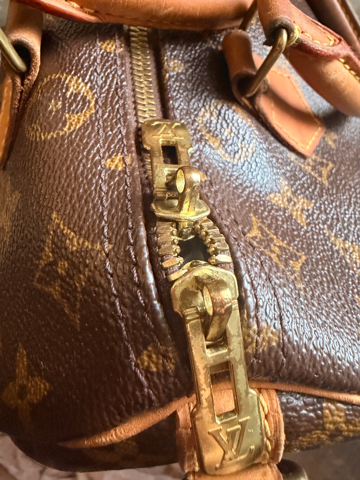 Louis Vuitton Speedy B30 in Monogram