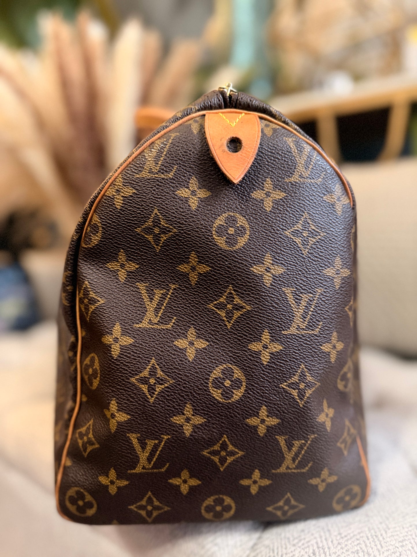 Louis Vuitton Speedy 40 in Monogram