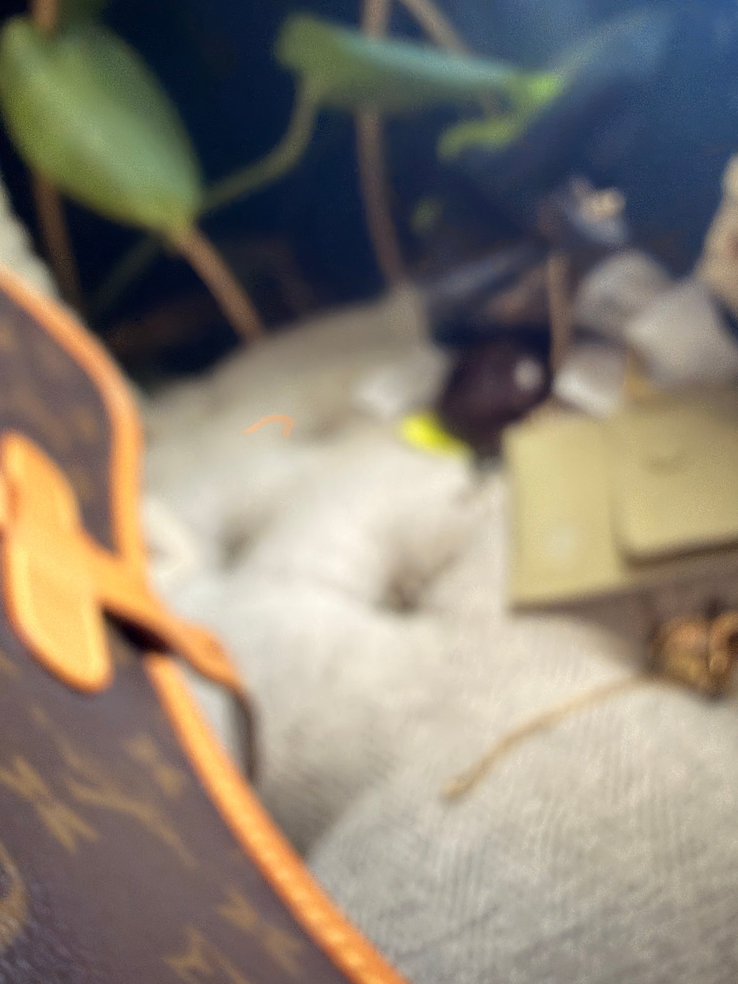 Louis Vuitton Vintage Marne