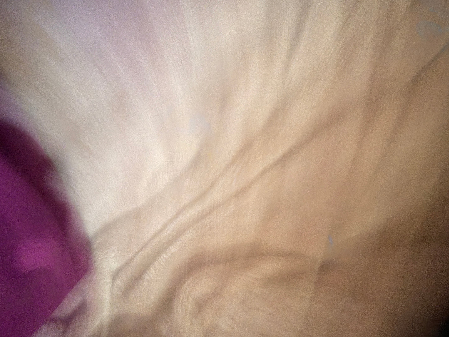 Marc Jacobs St. Marc Mini Top Handle