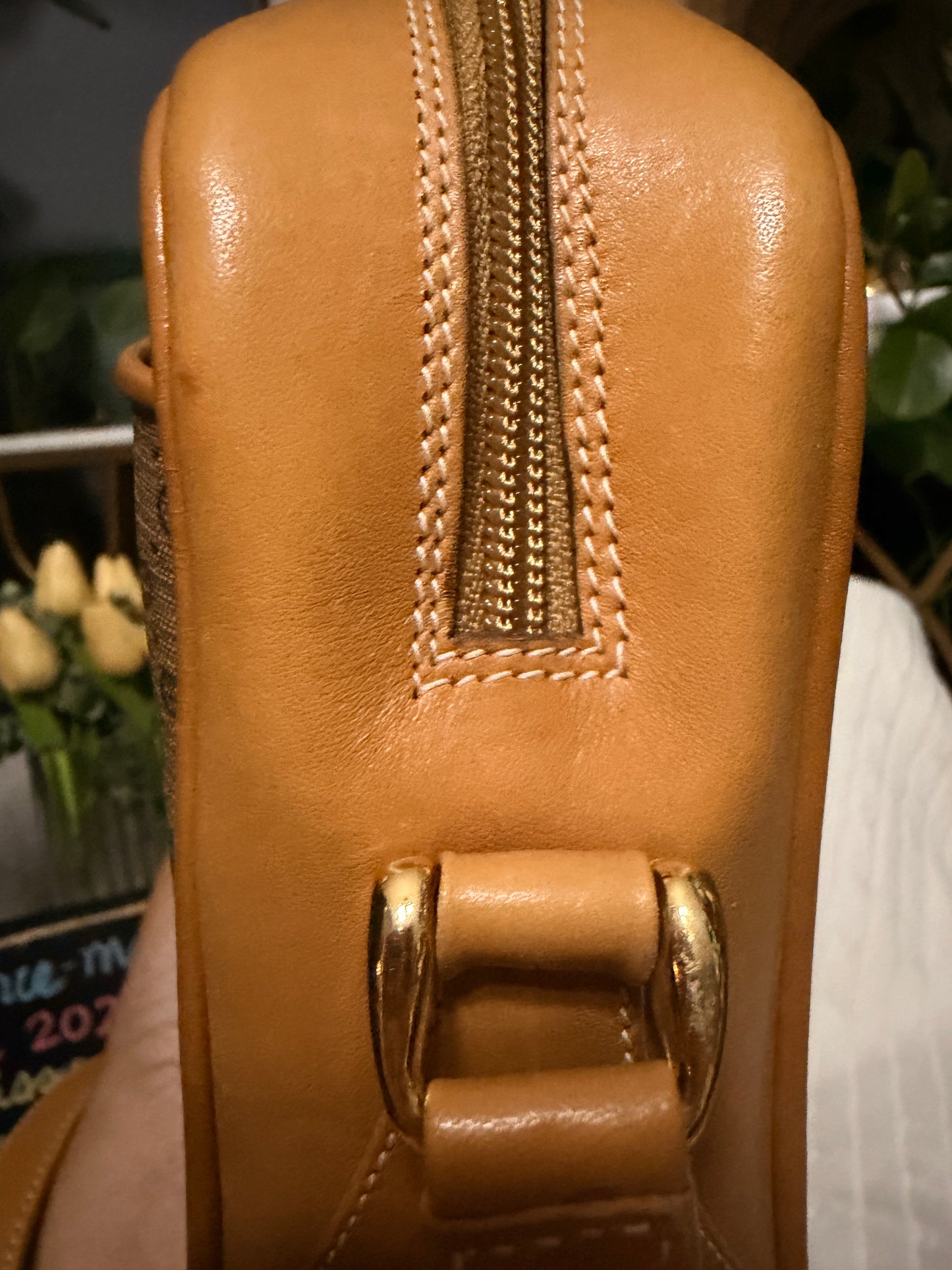 Gucci Vintage Micro GG Camera Bag