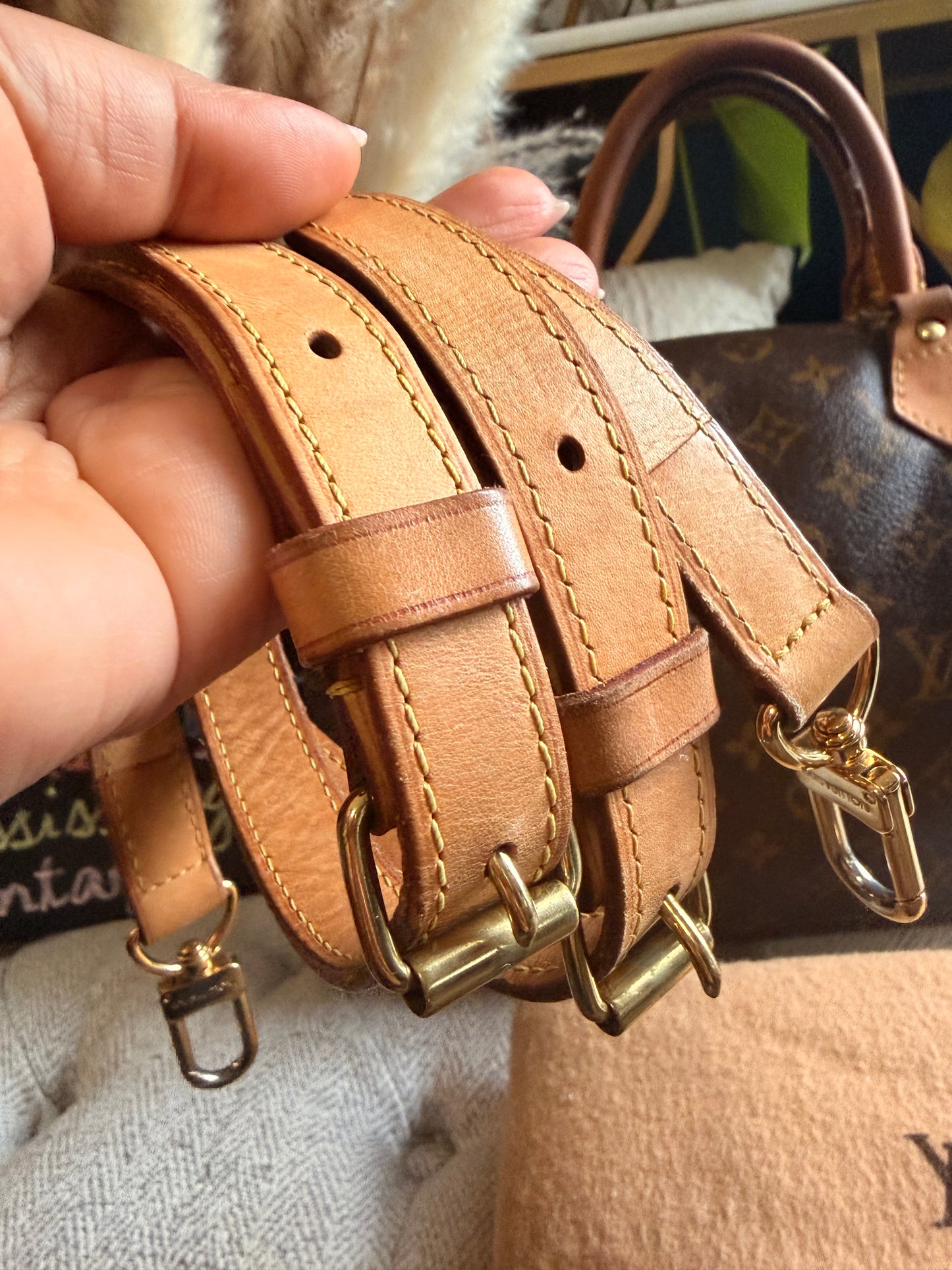Louis Vuitton Speedy B30 in Monogram
