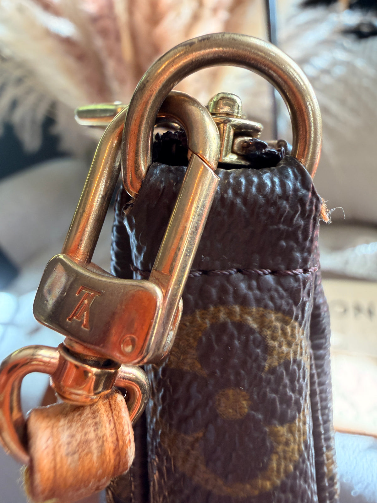 LOUIS VUITTON Pochette Accessoires
