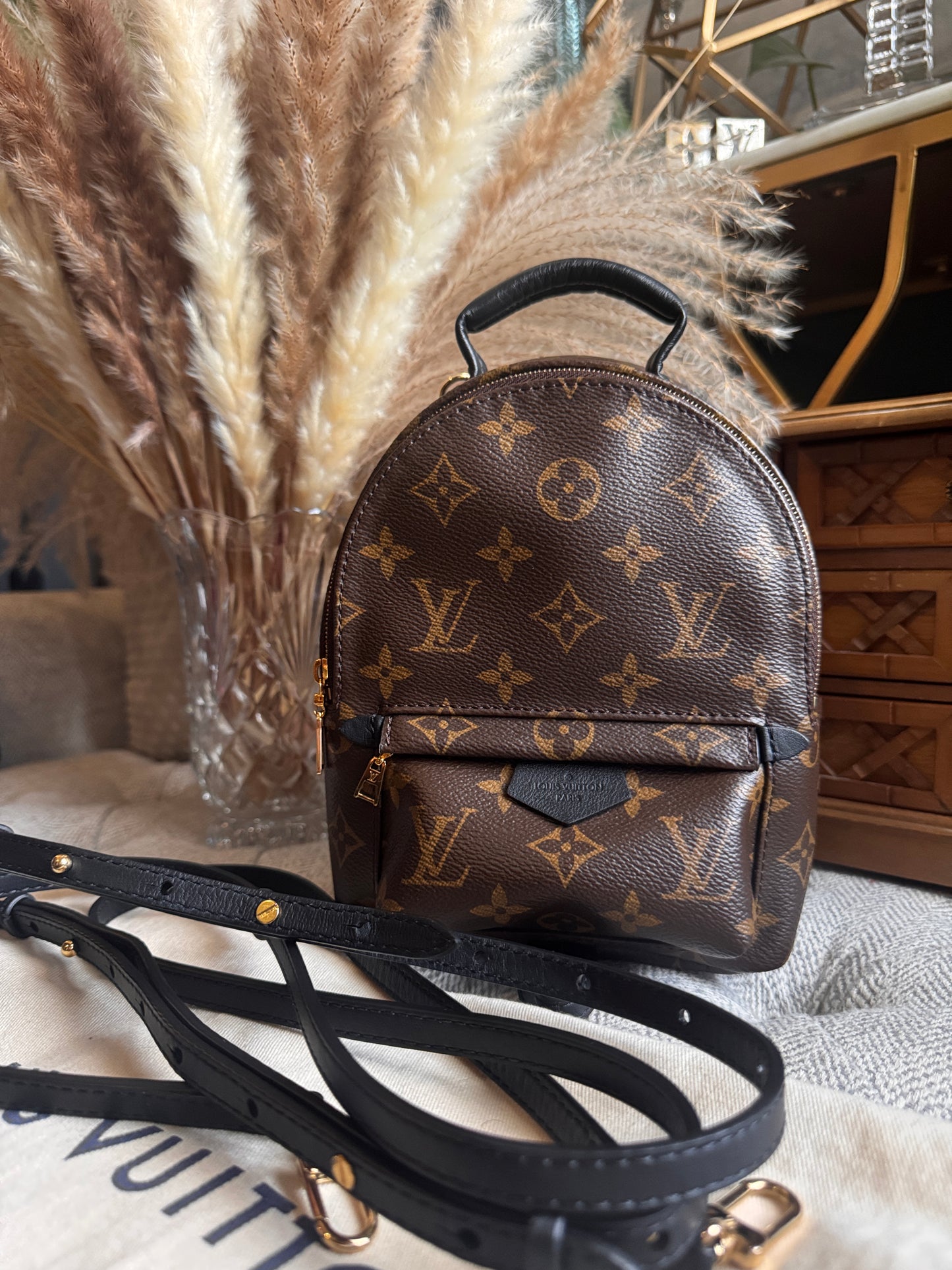 Louis Vuitton Palm Springs Mini-New Version
