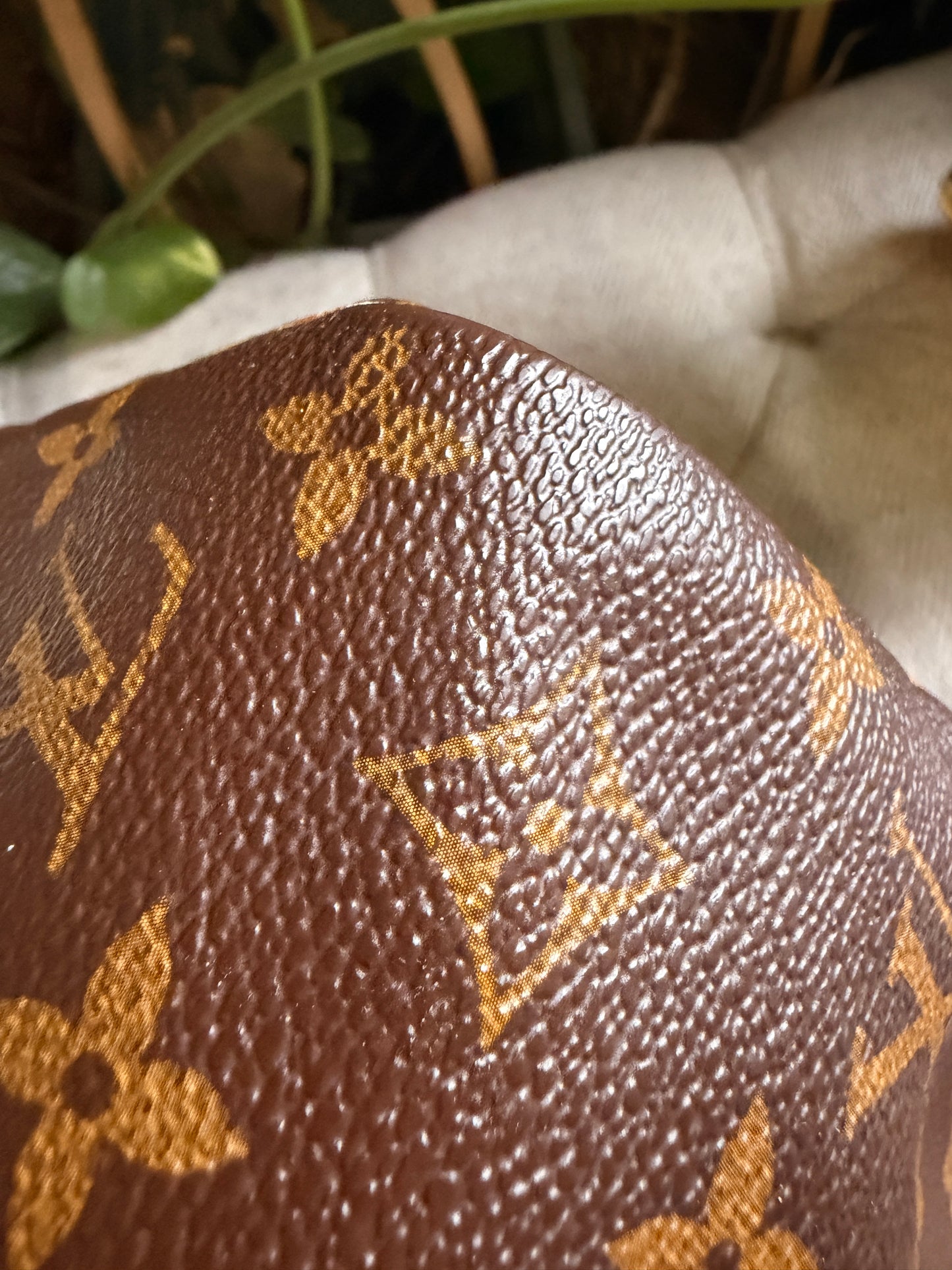 Louis Vuitton Speedy B30 in Monogram