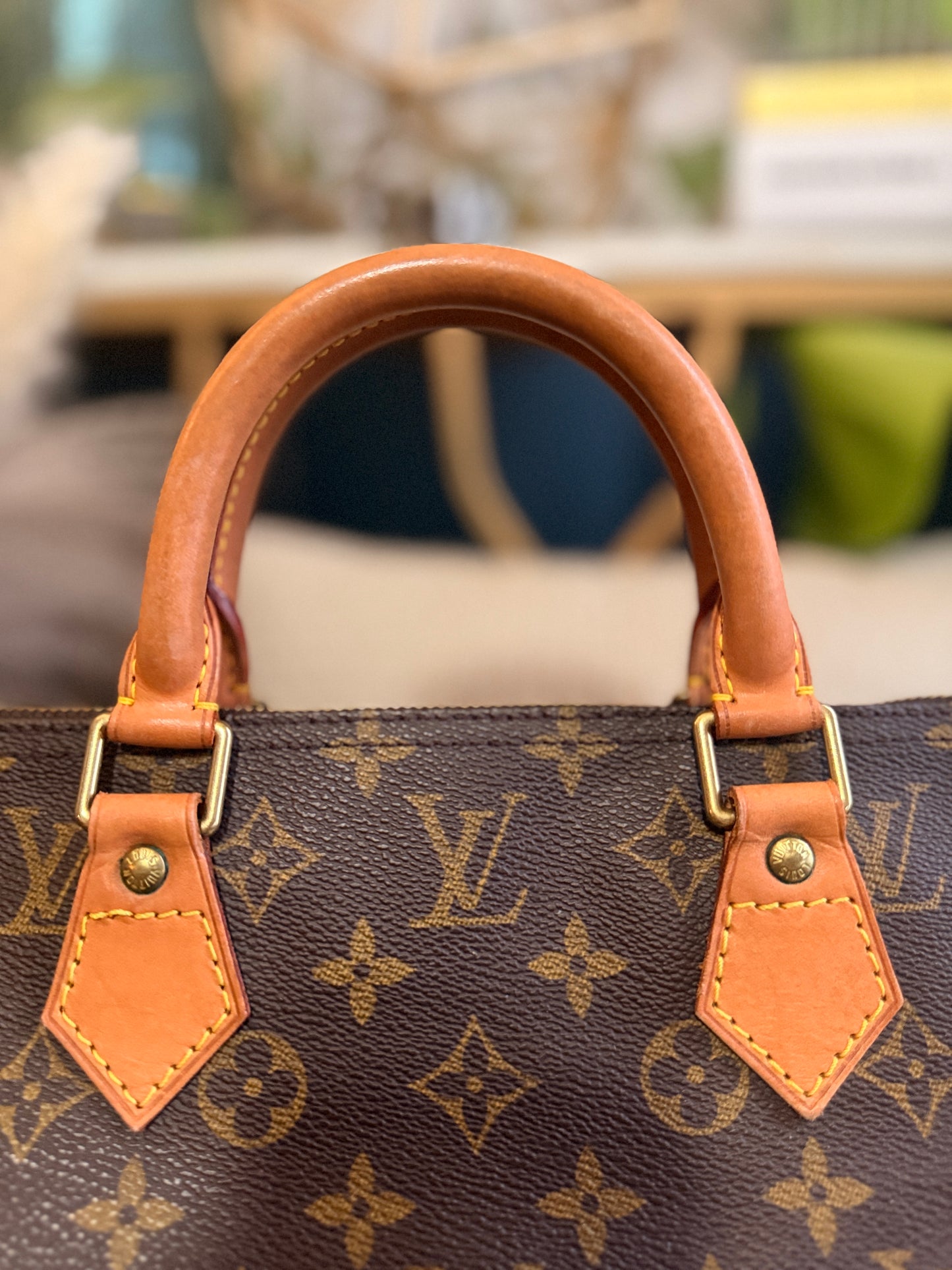 Louis Vuitton Speedy 40 in Monogram