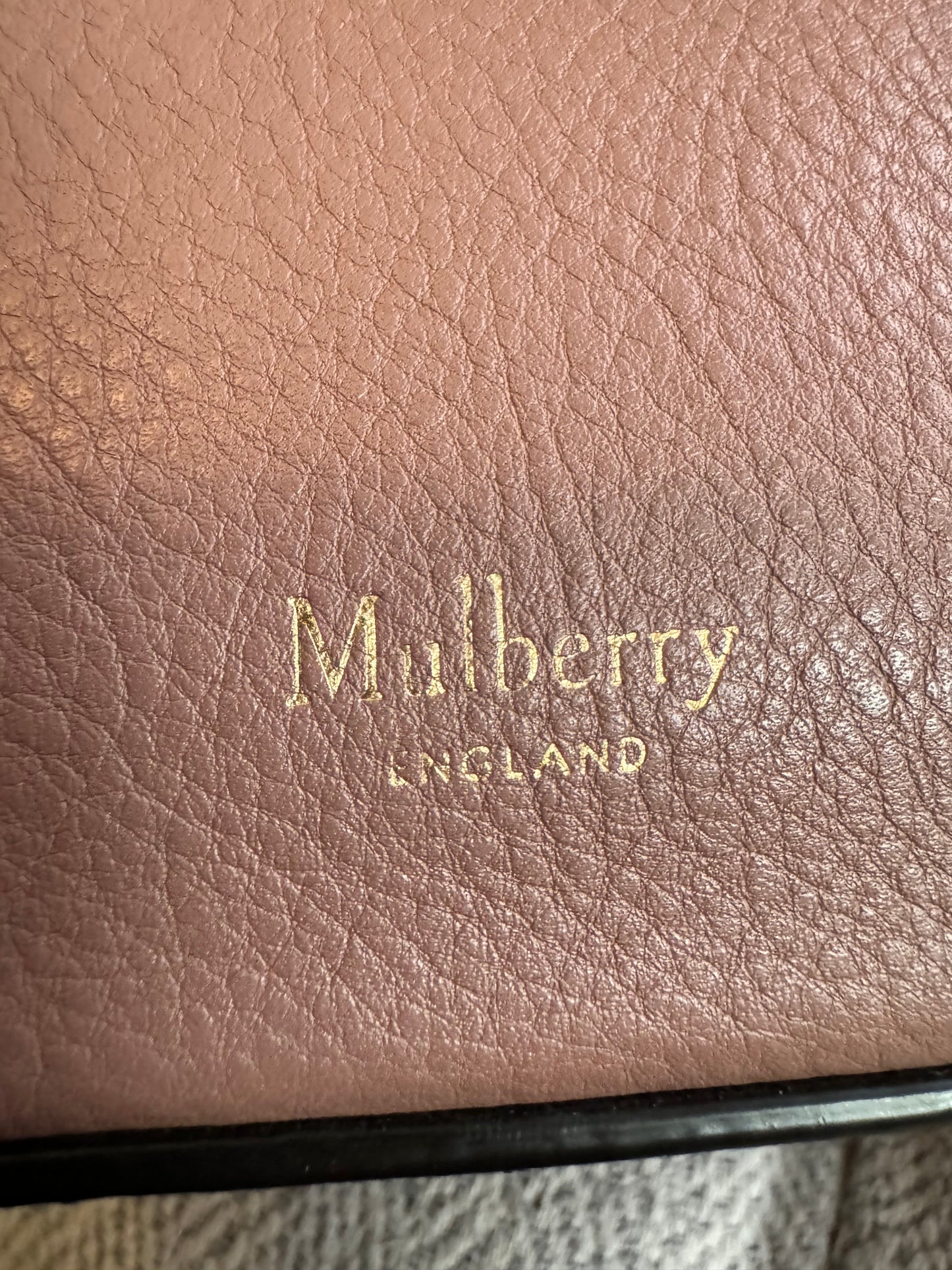 Mulberry Mini Seaton