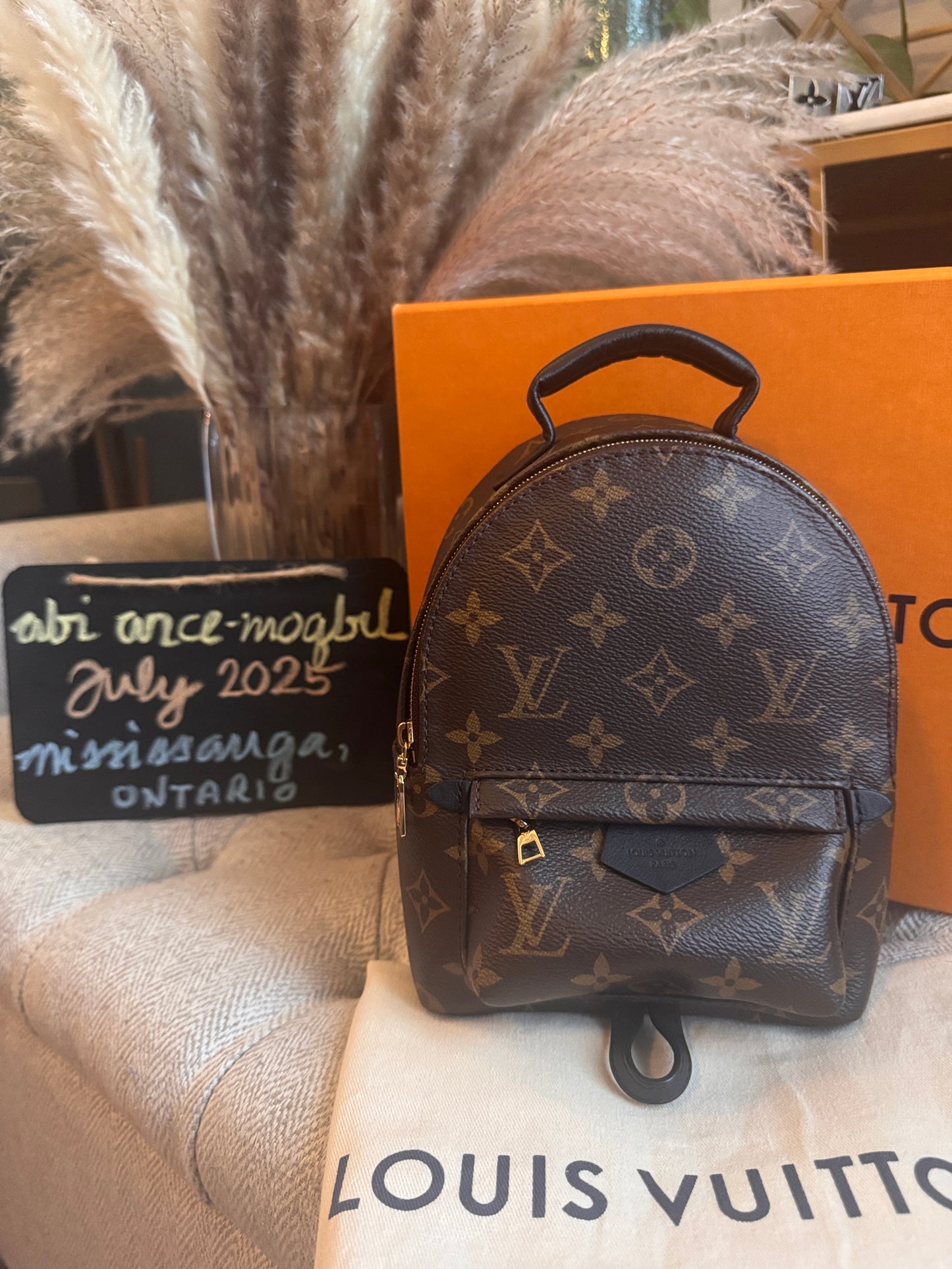Louis Vuitton Mini Palm Springs-New Model with exposed zip Microchipped