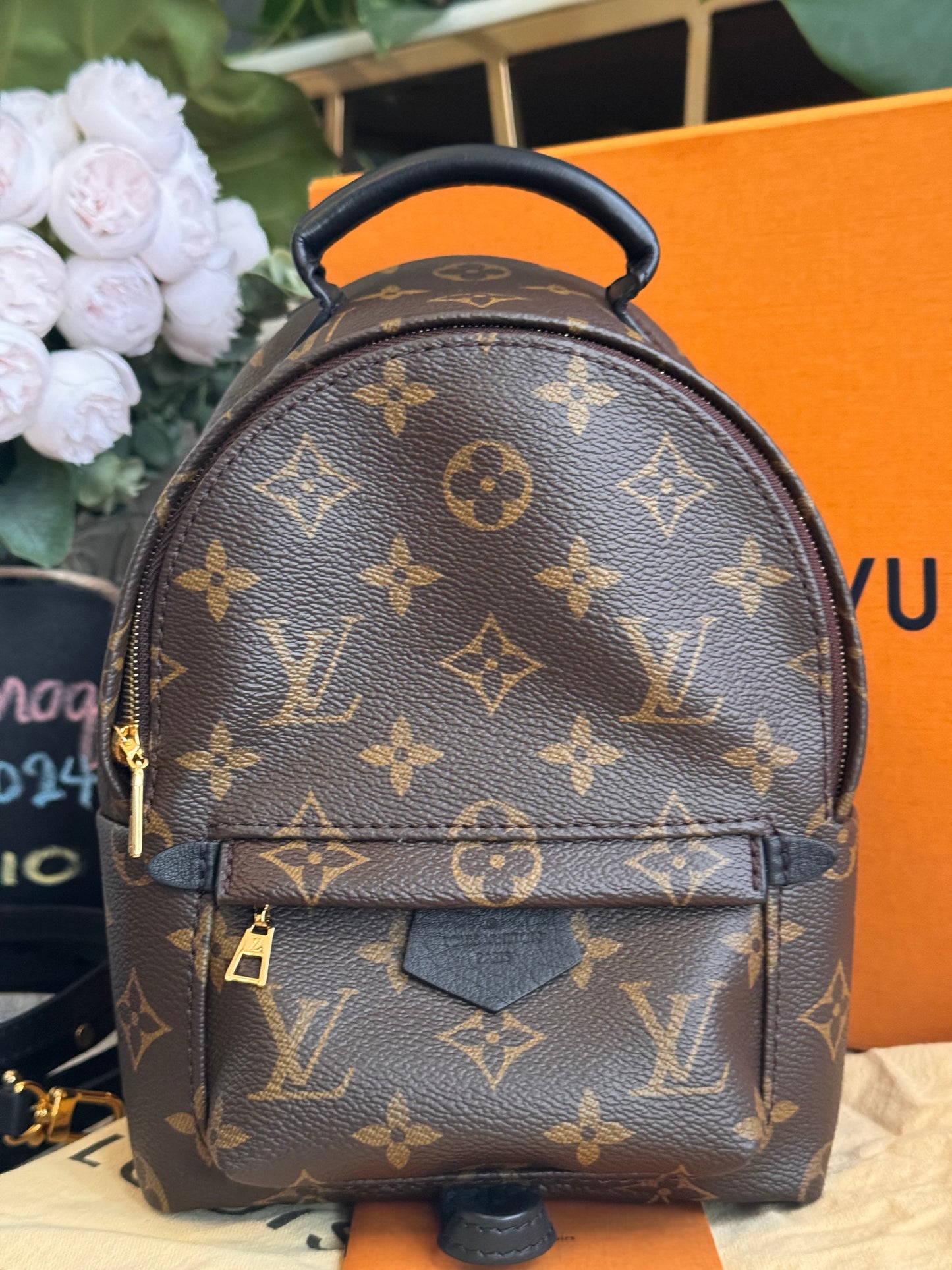 Louis Vuitton Palm Springs Mini