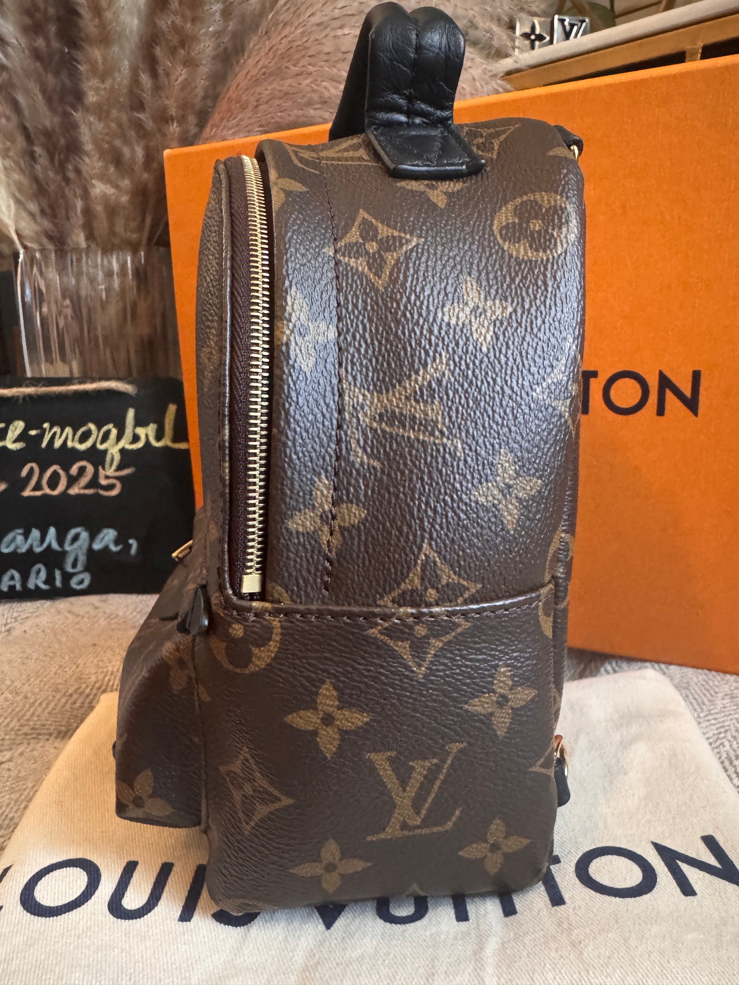 Louis Vuitton Mini Palm Springs-New Model with exposed zip Microchipped