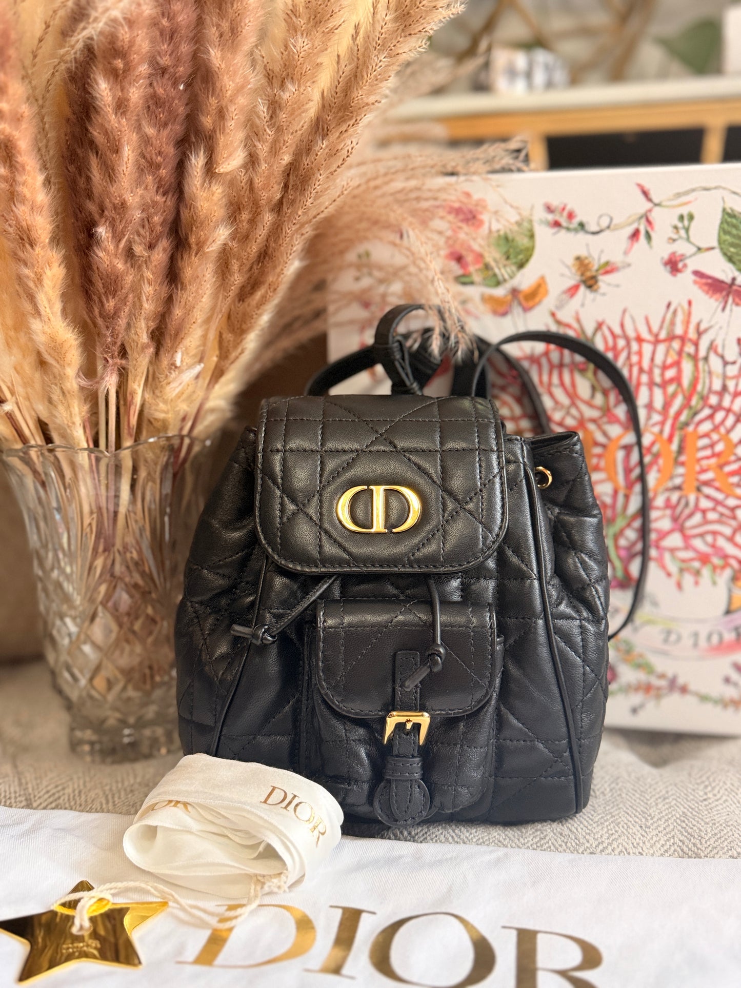 Dior Caro Macrocannage Backpack in Classic black