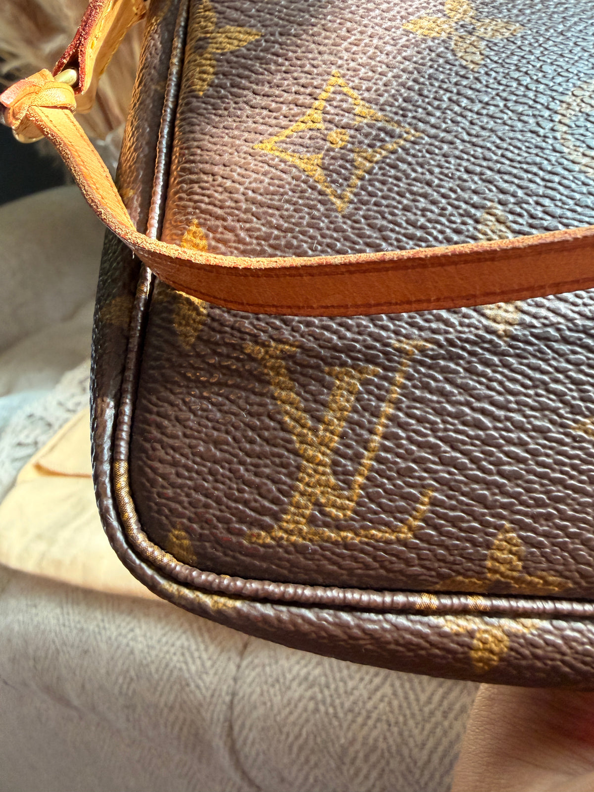 LOUIS VUITTON Pochette Accessoires