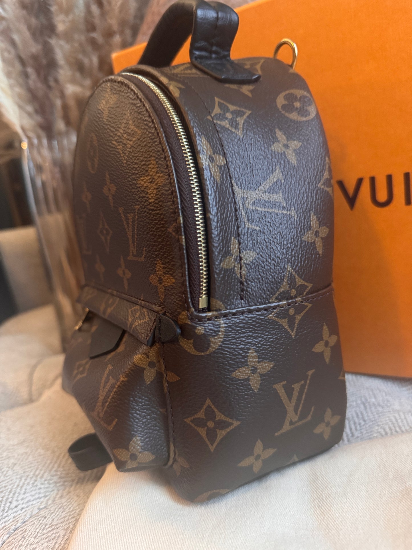 Louis Vuitton Mini Palm Springs-New Model with exposed zip Microchipped