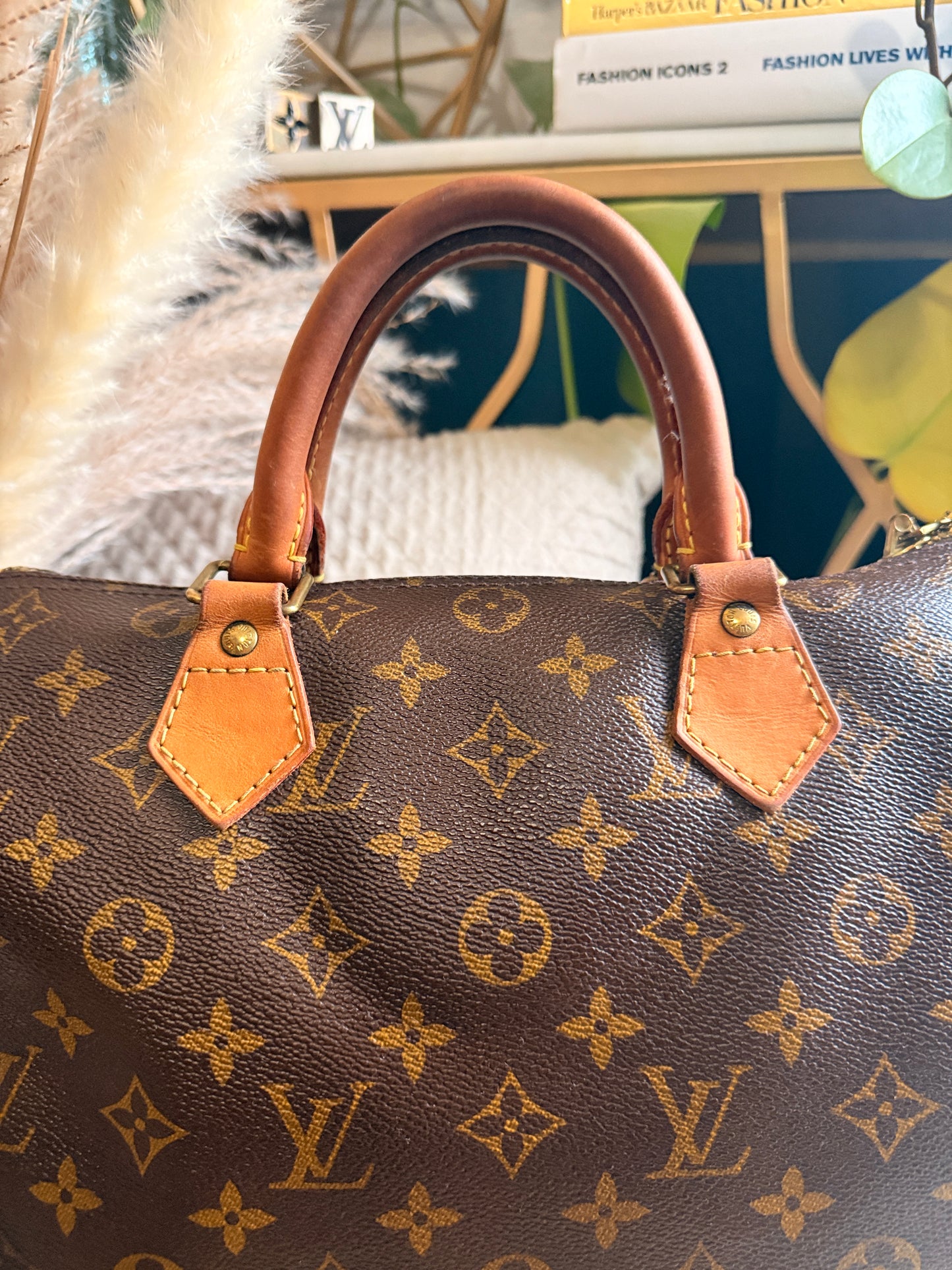 Louis Vuitton Speedy B30 in Monogram