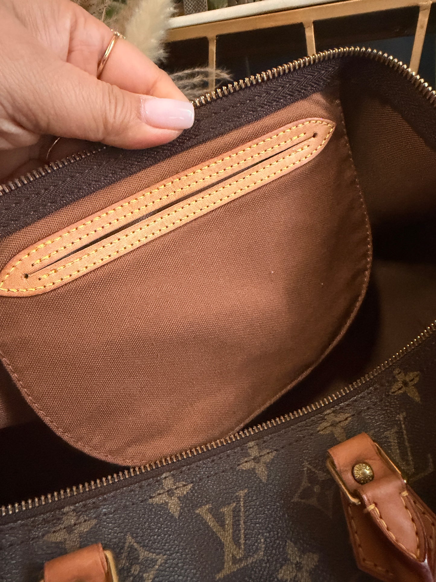 Louis Vuitton Speedy 40 in Monogram