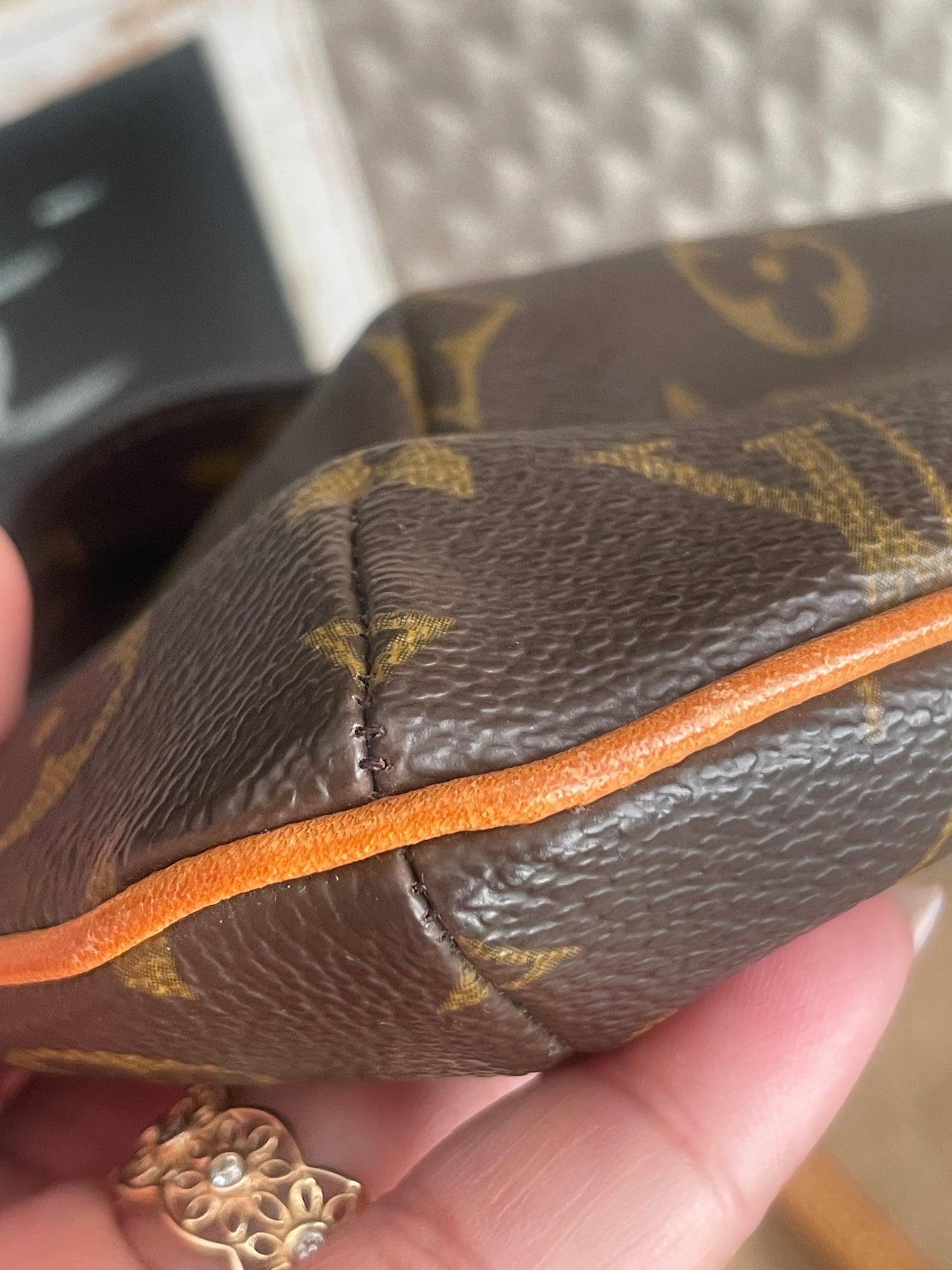 Louis Vuitton Partition Wristlet