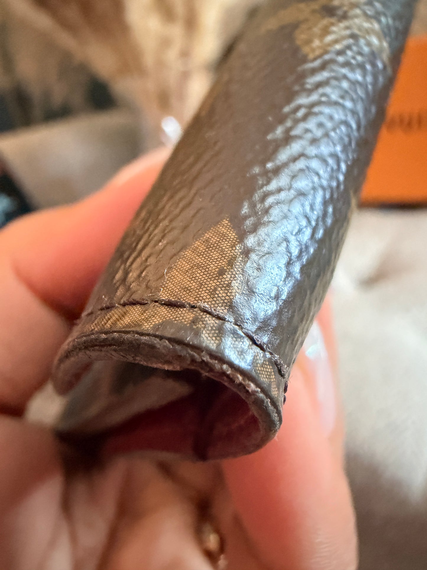 Louis Vuitton Victorine Wallet