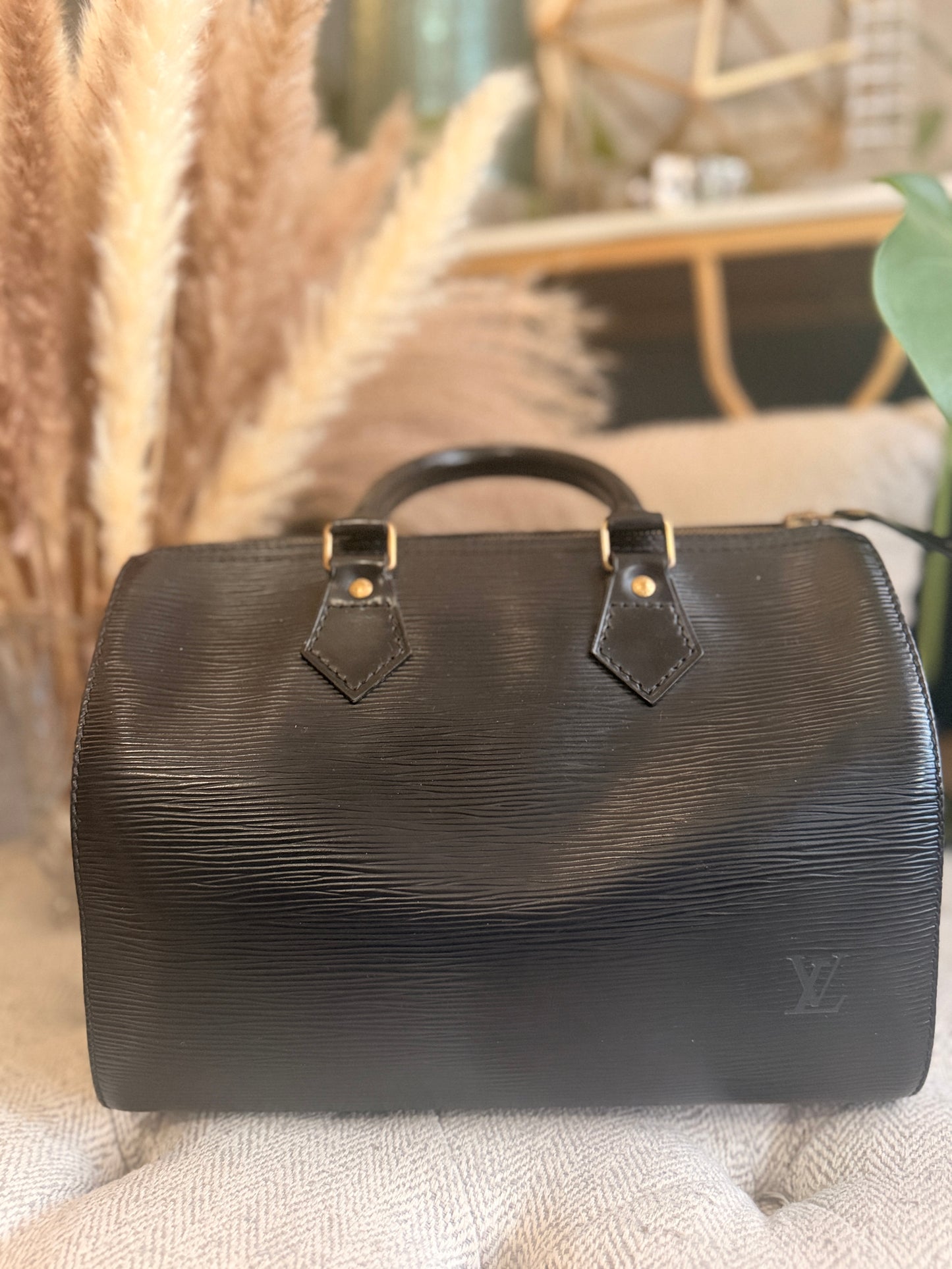 Louis Vuitton Speedy 25 in Epi Noir