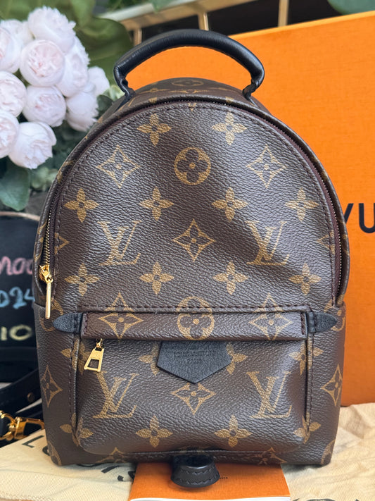 Louis Vuitton Palm Springs Mini