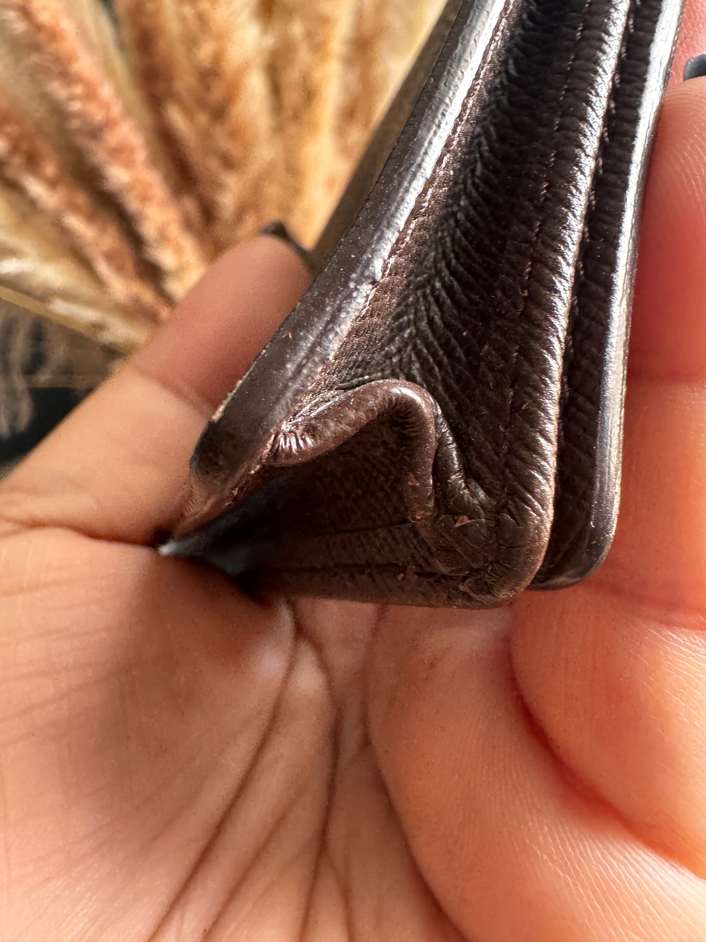 Louis Vuitton Damier Ebene Vintage Bifold