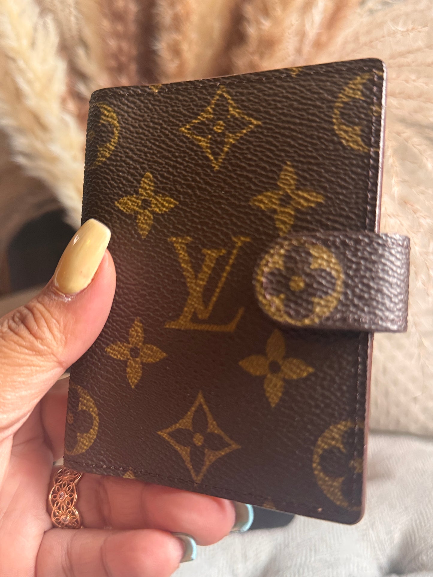 Louis Vuitton Cardholder in Monogram