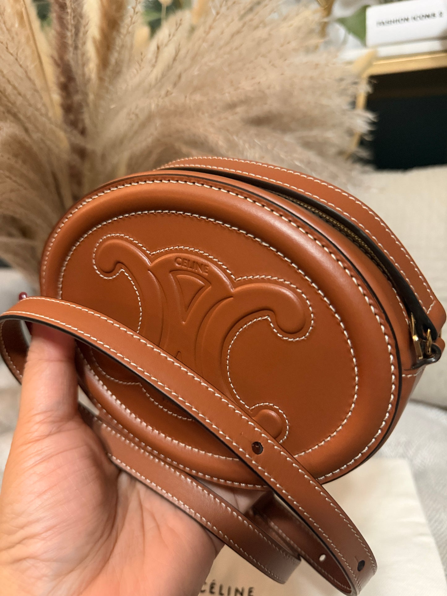 Celine Oval Triomphe Bag in Calfskin